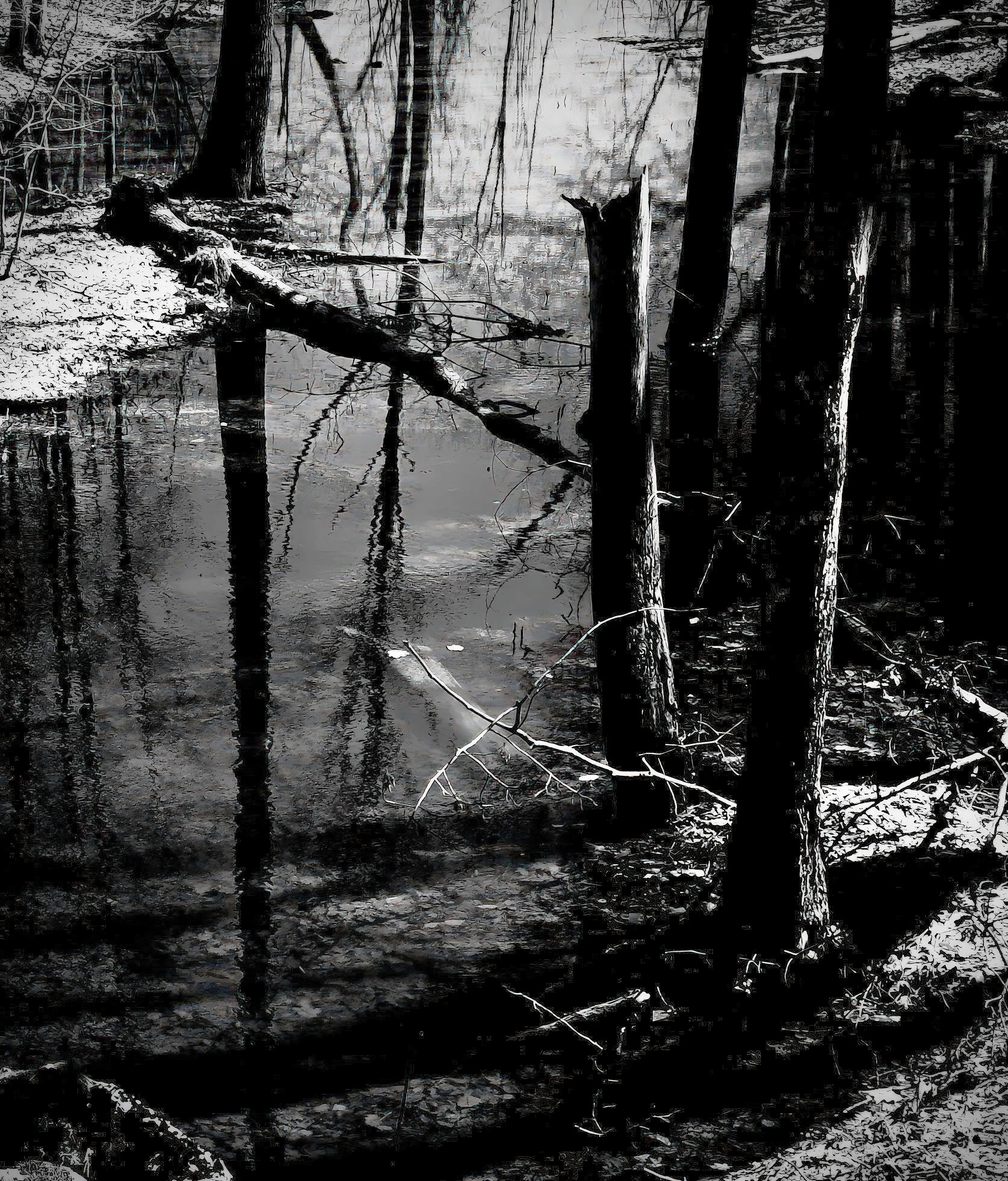12 flood pond near park.jpg