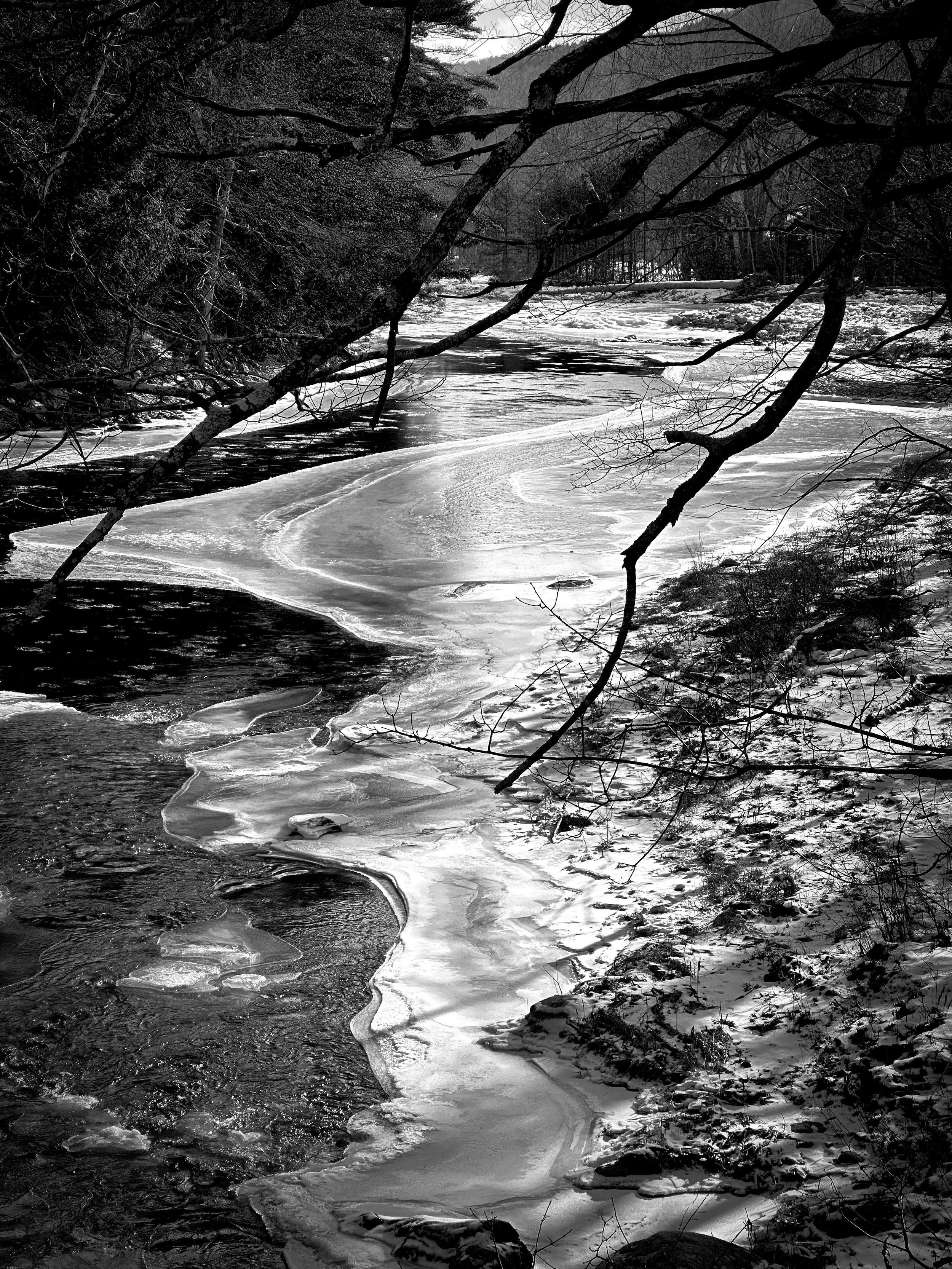 19 my pond with ice.jpg