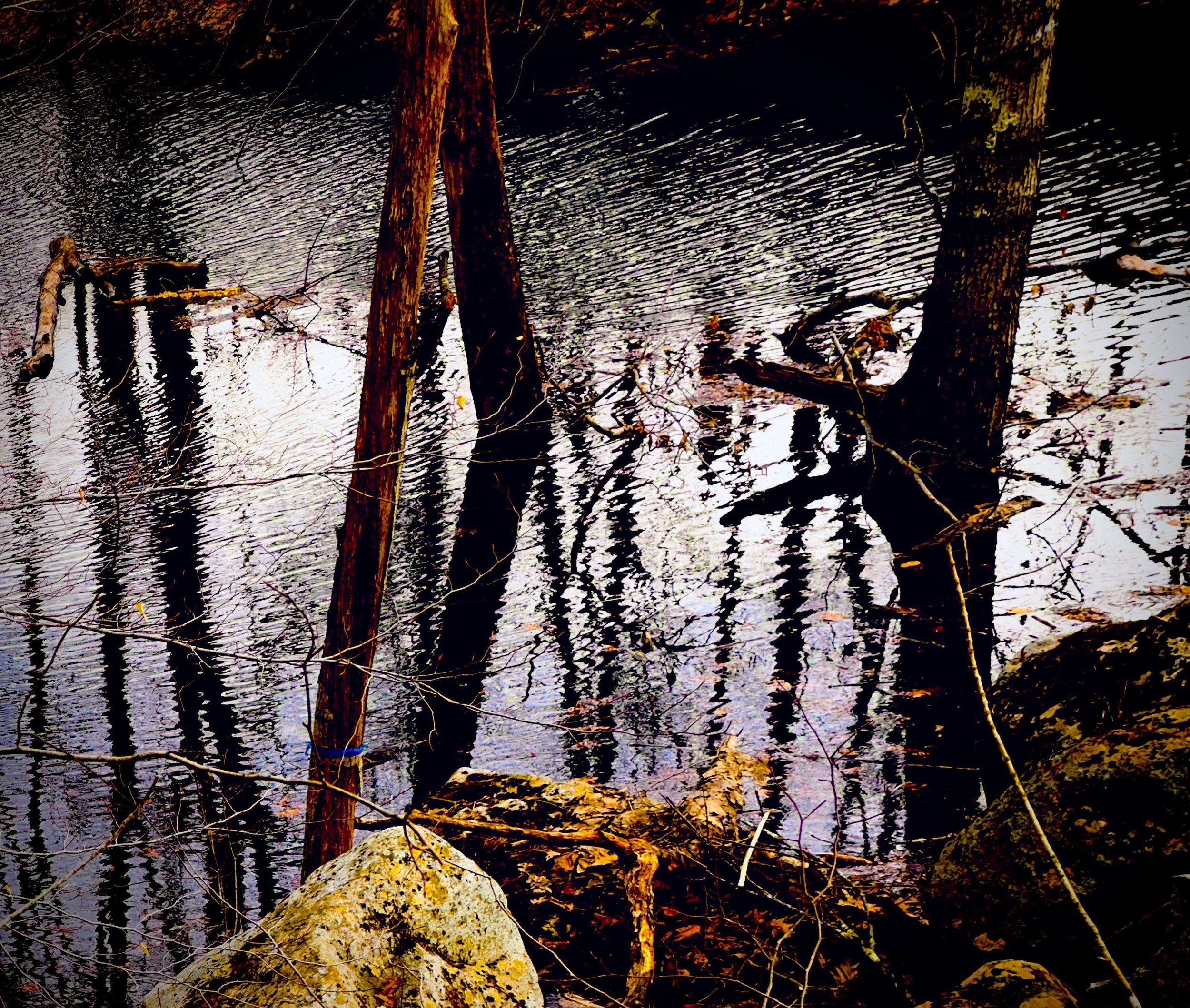 11 Rippled autumn pond .jpg
