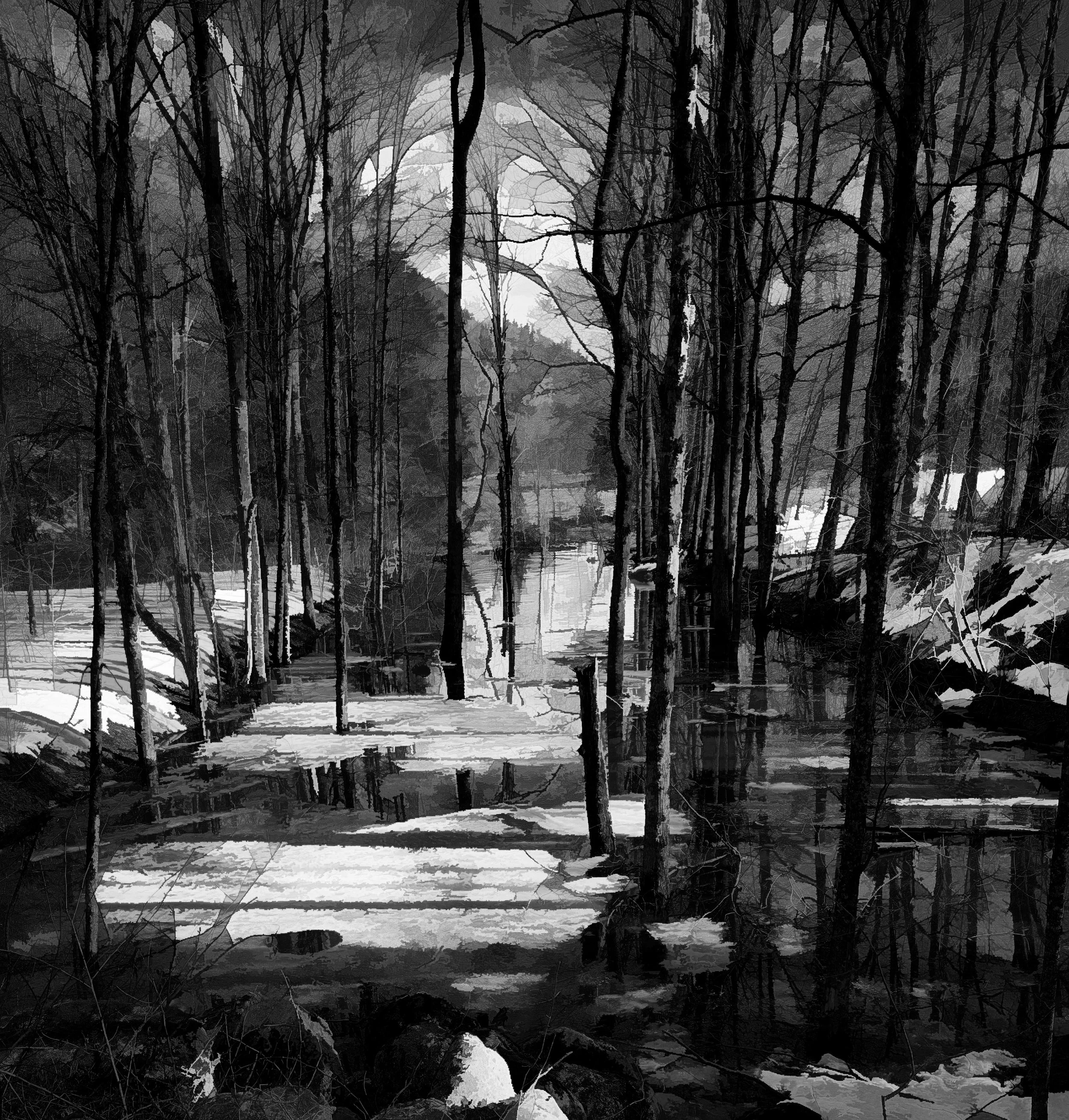 20 spreading trees and pond2.jpg