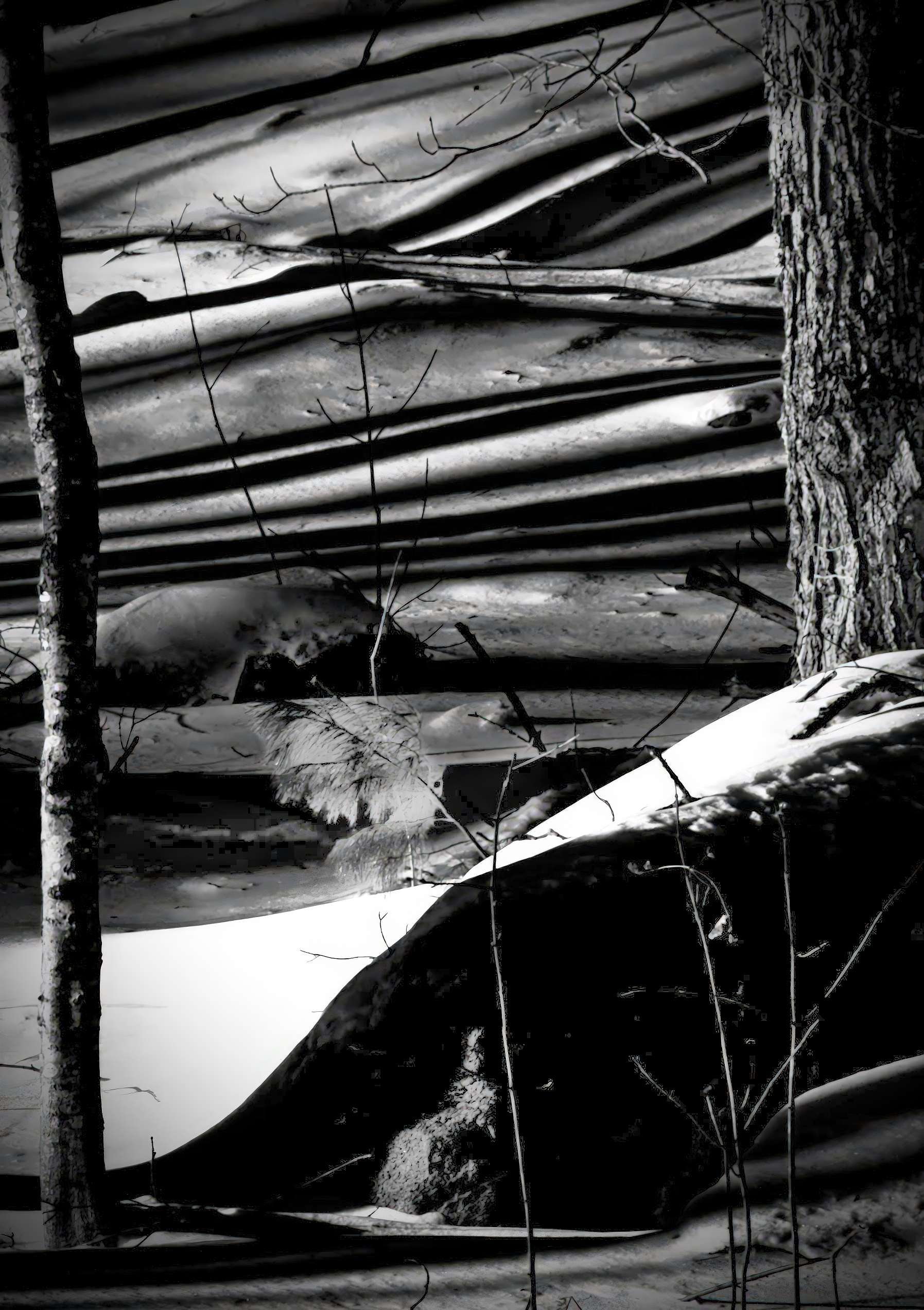 21 Snow and shadows stripe.jpg