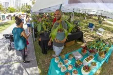 Hobby or Business? Why It Matters at Tax Time