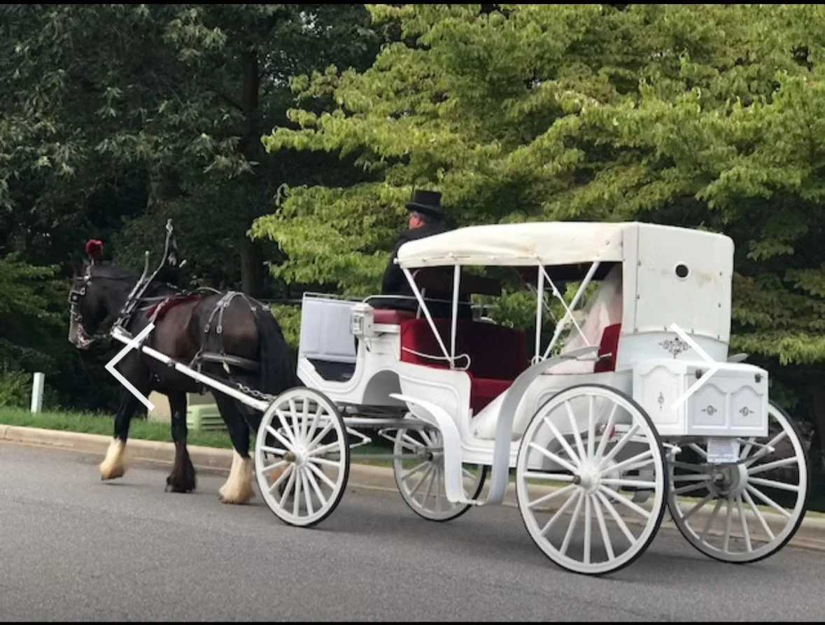Horse-drawn carriage fairytale entrance at Fox Meadows Farm Wedding Venue in Roxboro, NC with a white exterior, red interior seats, and a black hat-wearing driver, on a road with green trees in the background.