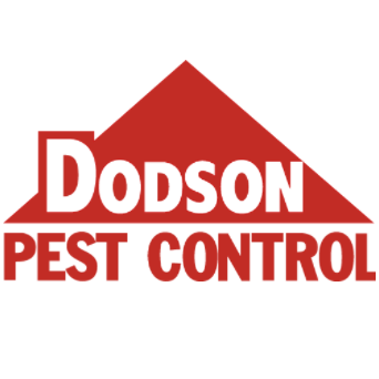 DodsonAMPIcon.png