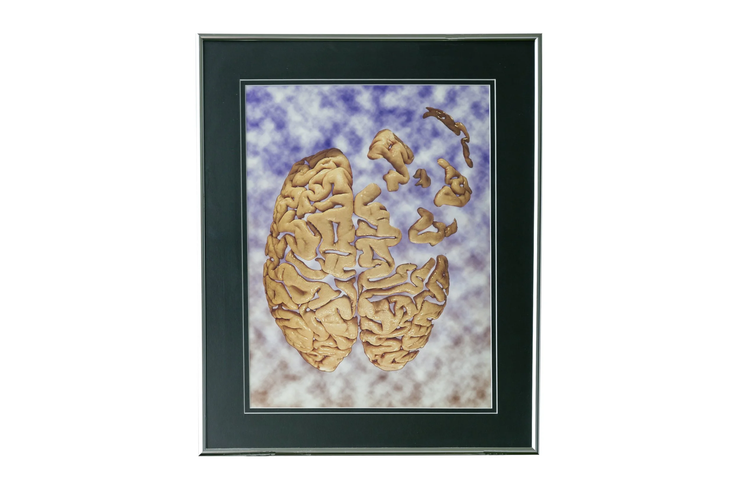 Heide Cartright (Australia), Brain falling apart into the sky, 2001.