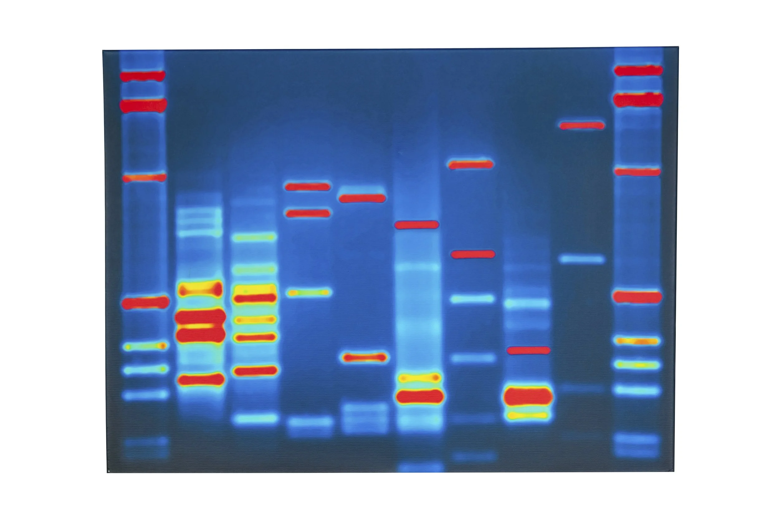 DNA11 (Canada), Human DNA, 2010.