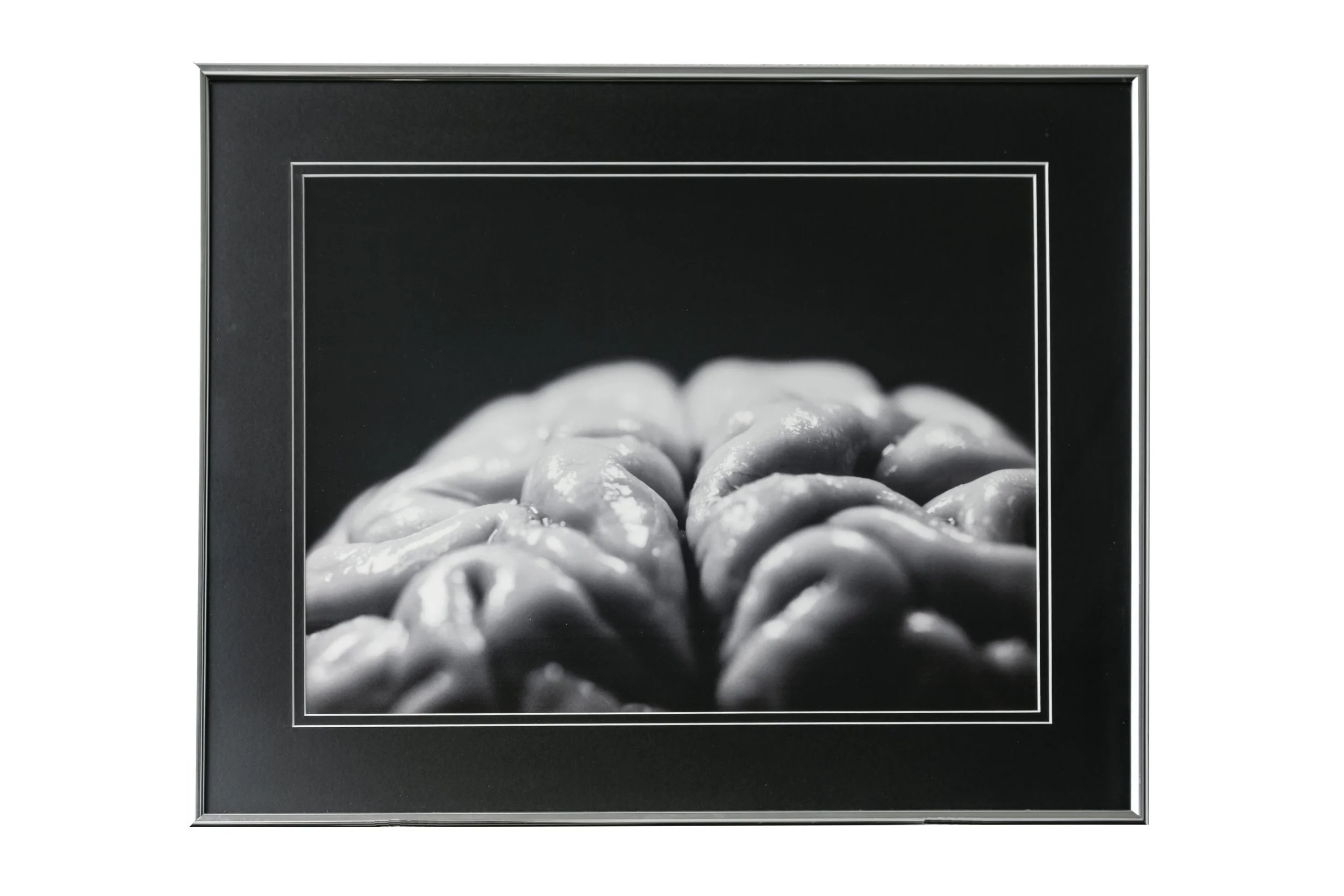 Heide Cartwright (Australia), Intact (enlarged), 2001.