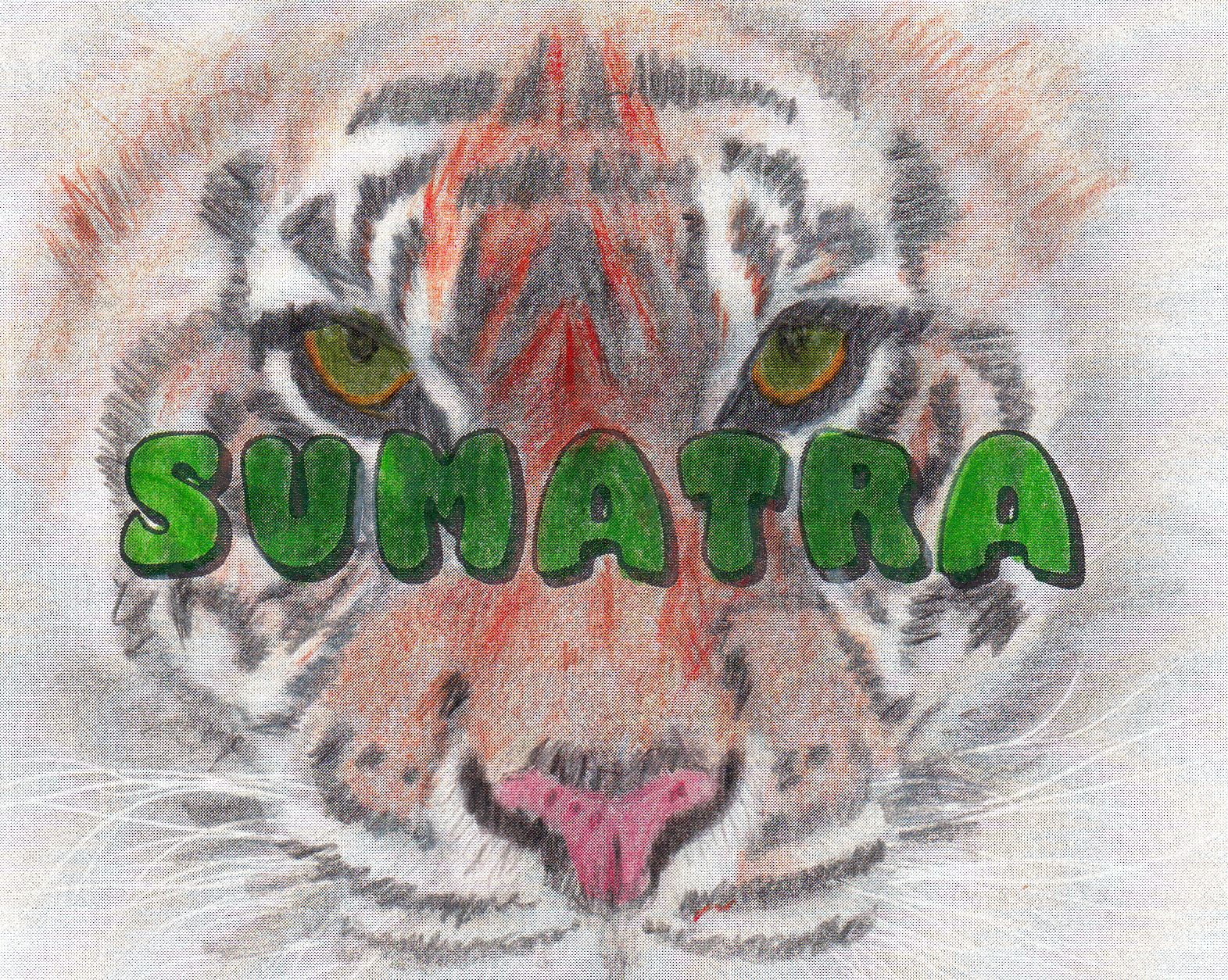 Sumatra.png