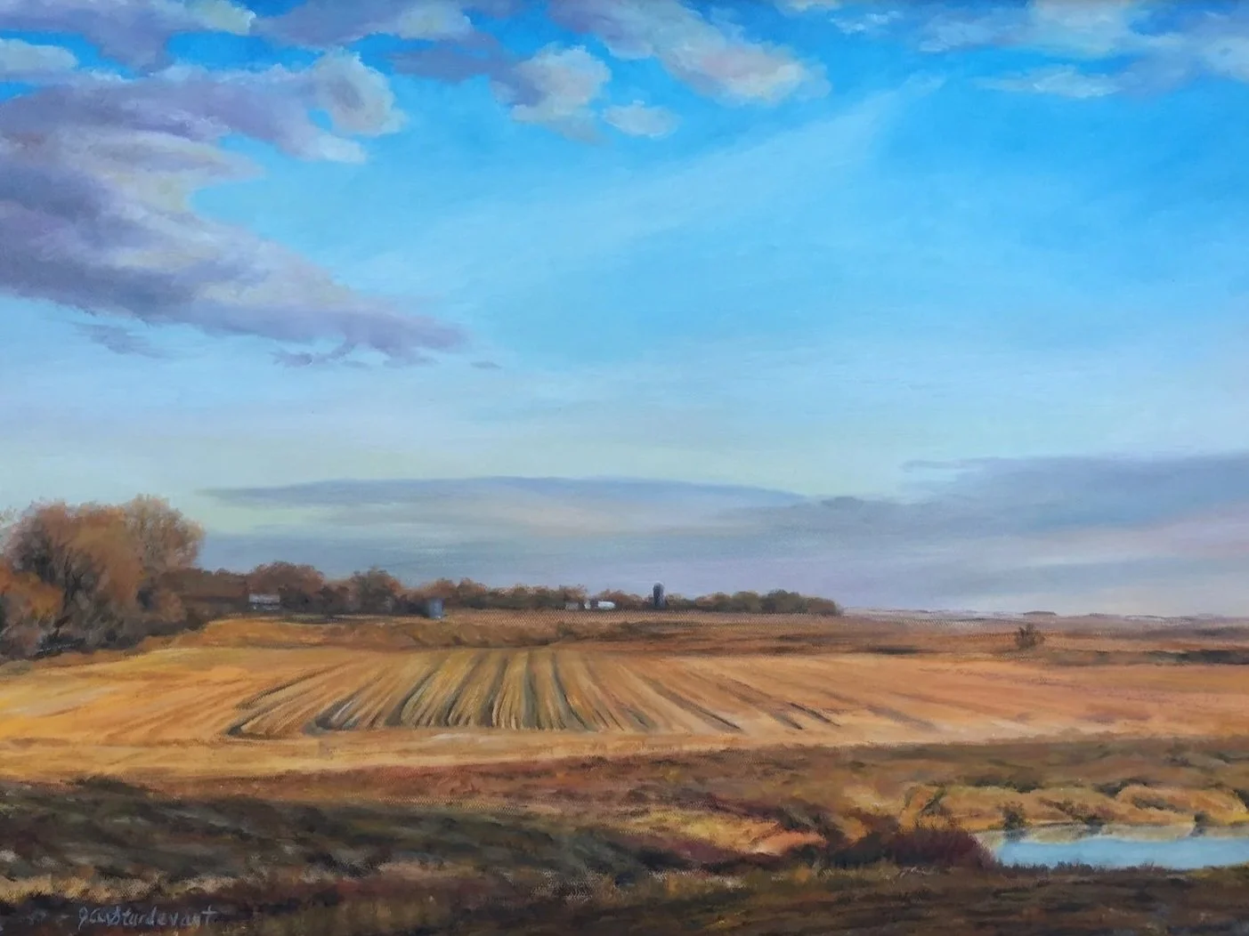 View from the Deer Stand