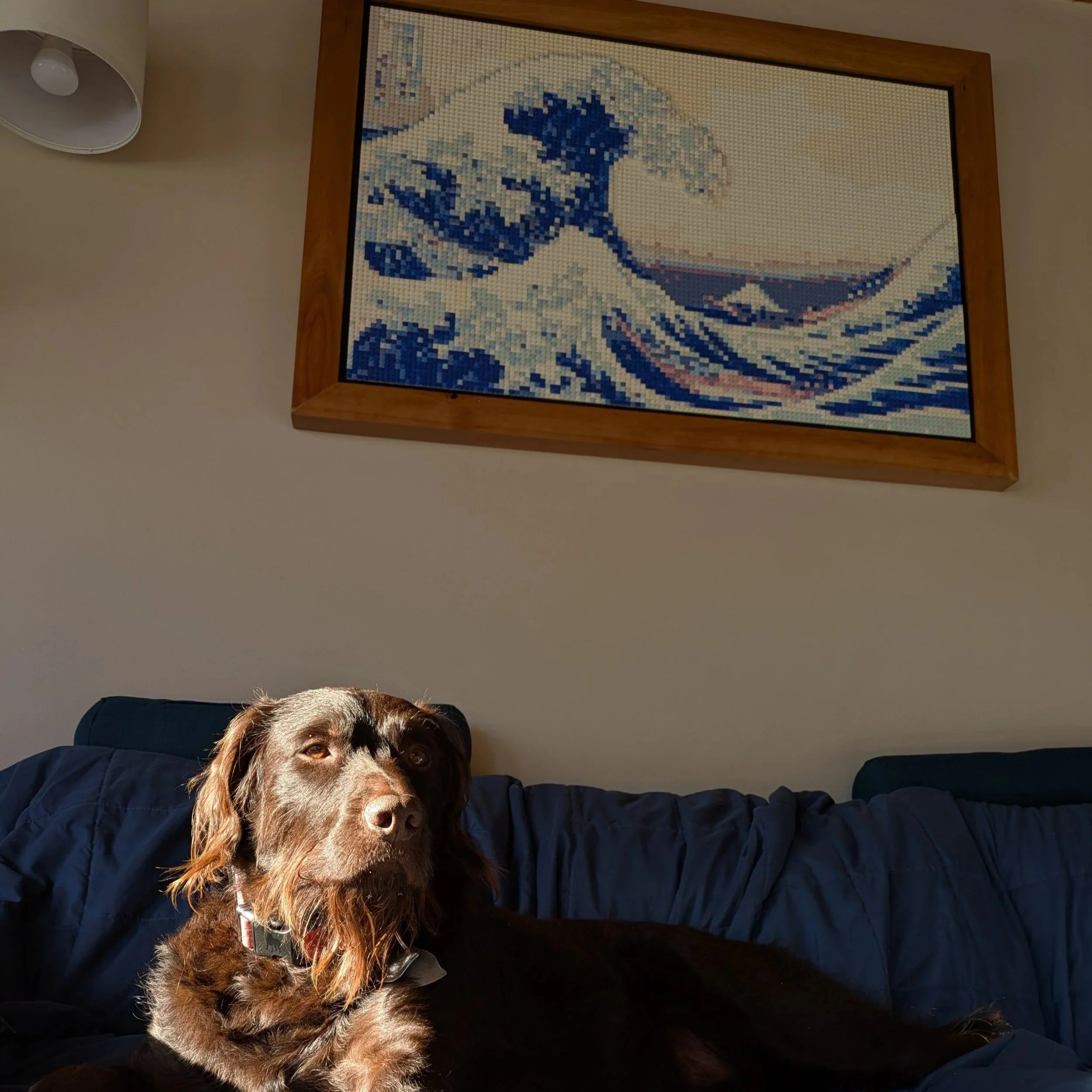 A brown dog with a collar lies on a navy blue blanket on a couch, with sunlight illuminating its face. A framed mosaic of a wave, reminiscent of Hokusai's 'The Great Wave,' hangs on the wall behind it.