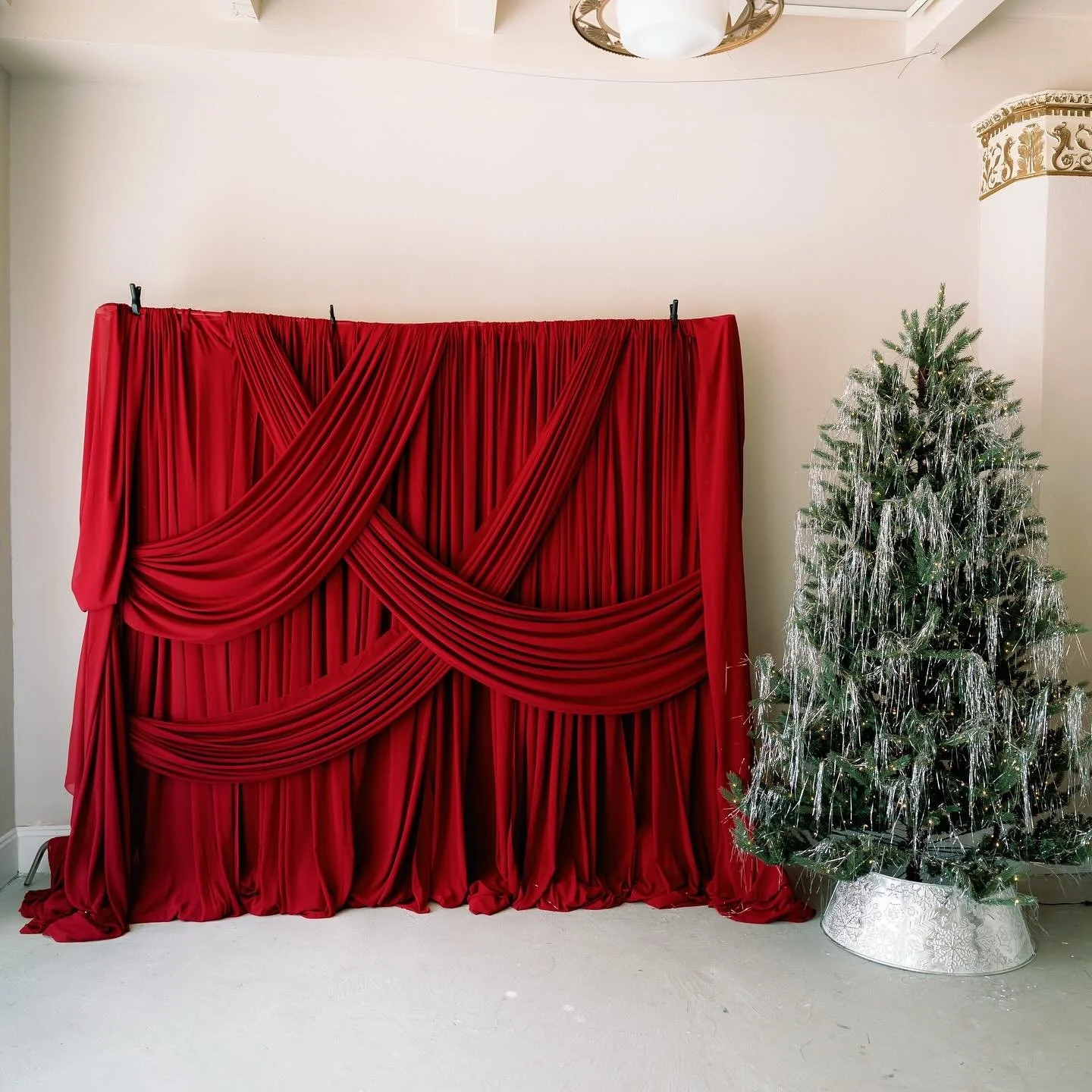 Christmas at the Cactus Haus 🩶🎄