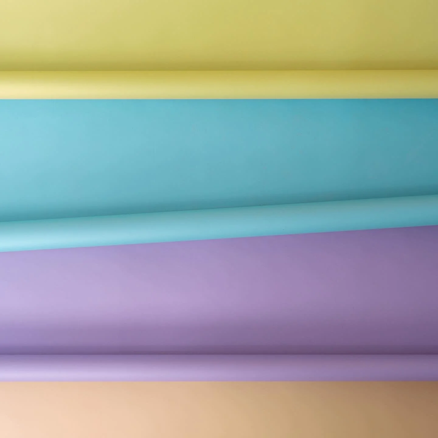 The Cactus Haus seamless paper lineup.