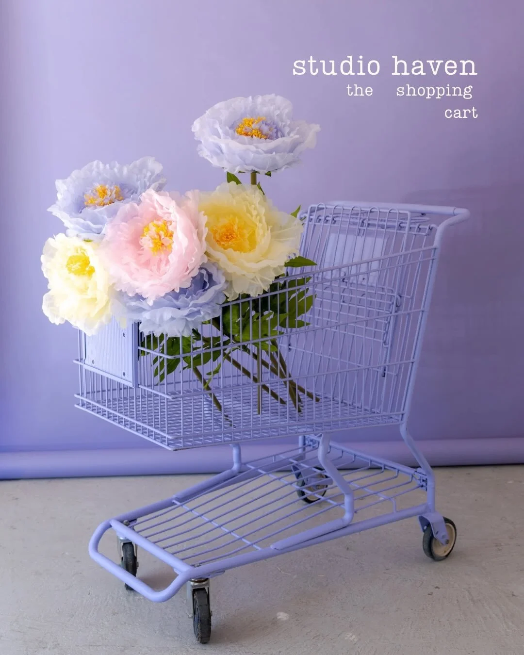 The Cactus Haus got a new prop 🛒