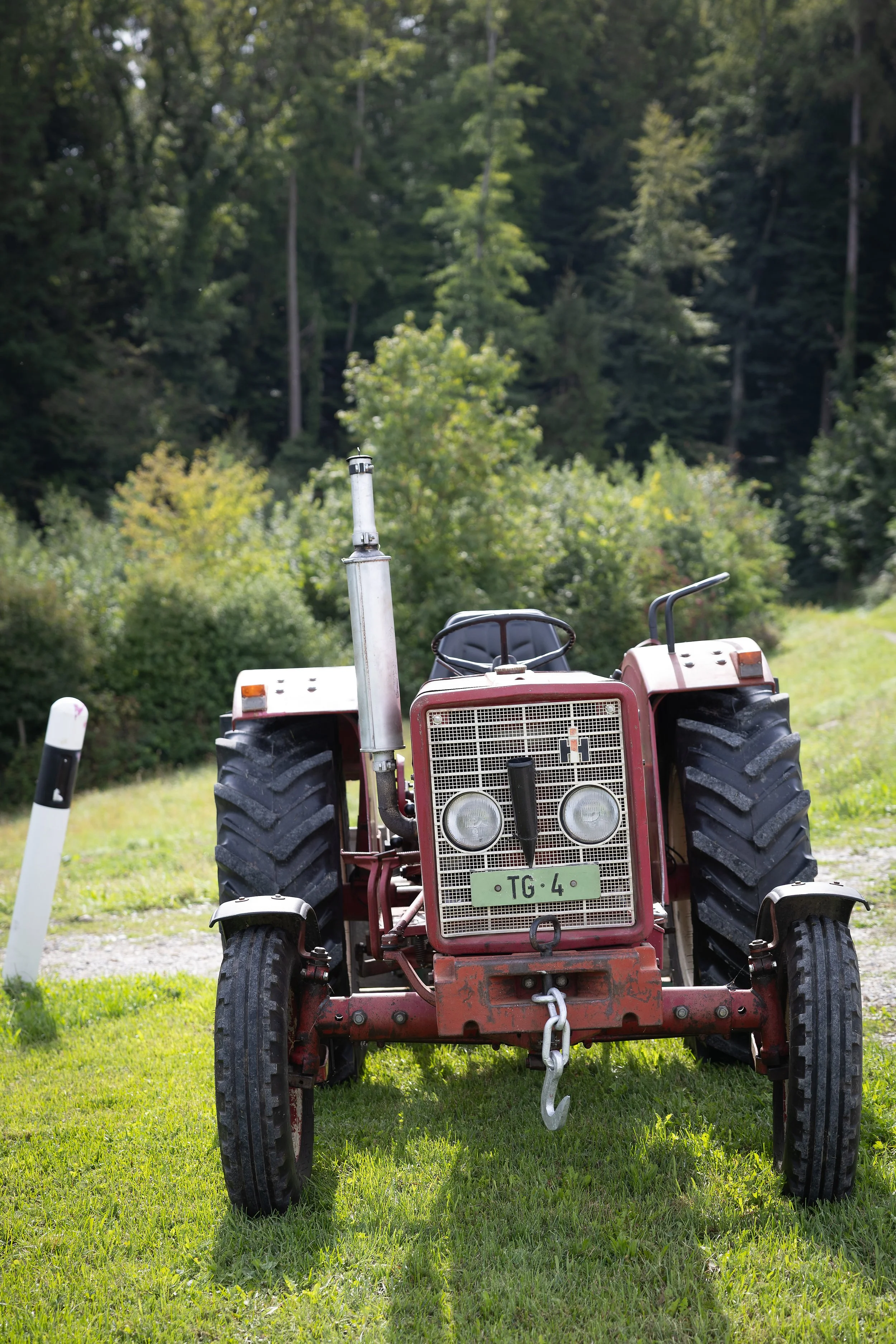Traktor in Triboltingen während der Traubenernte / Wümmet