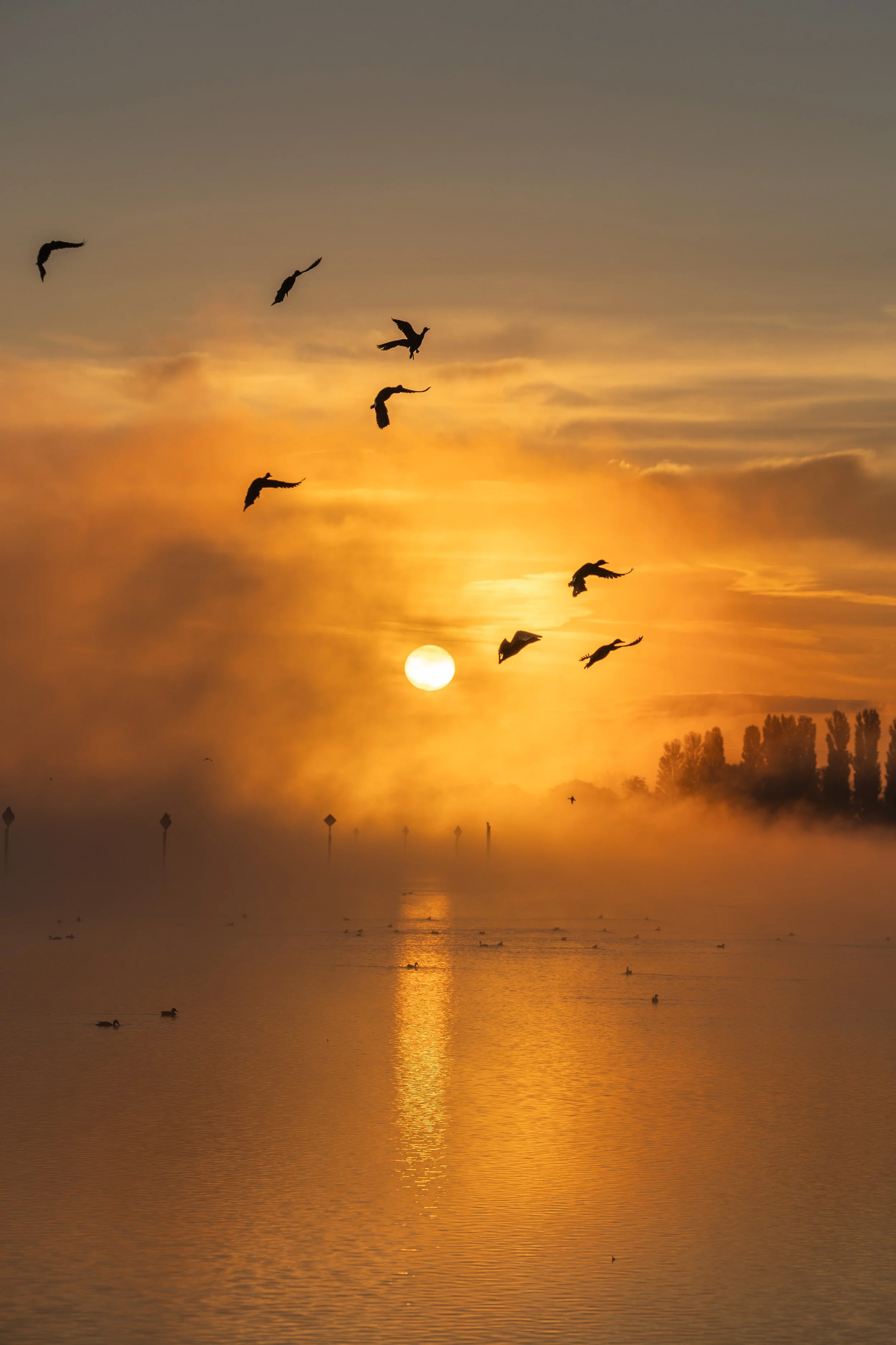_57A9057.jpg