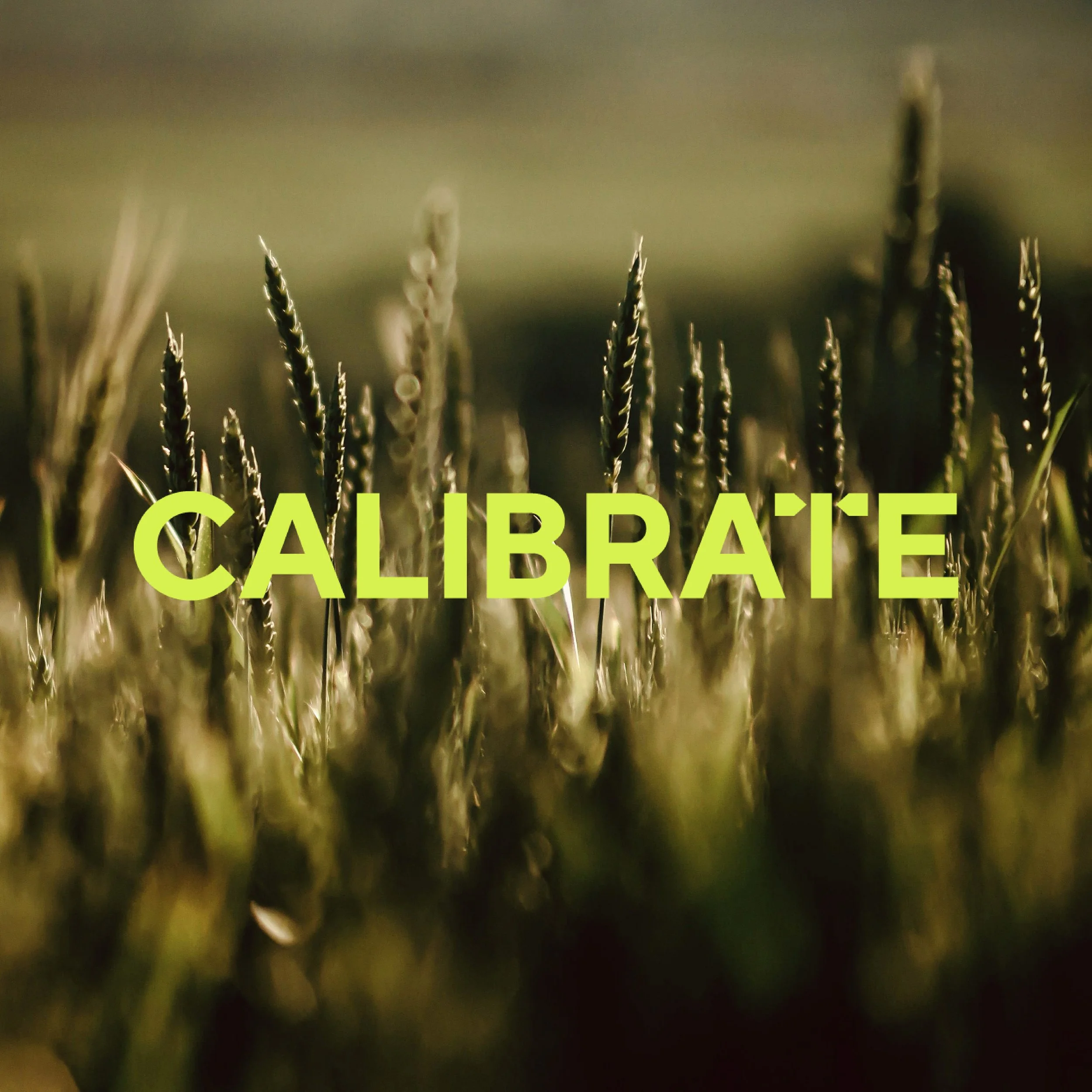 Introducing Calibrate
