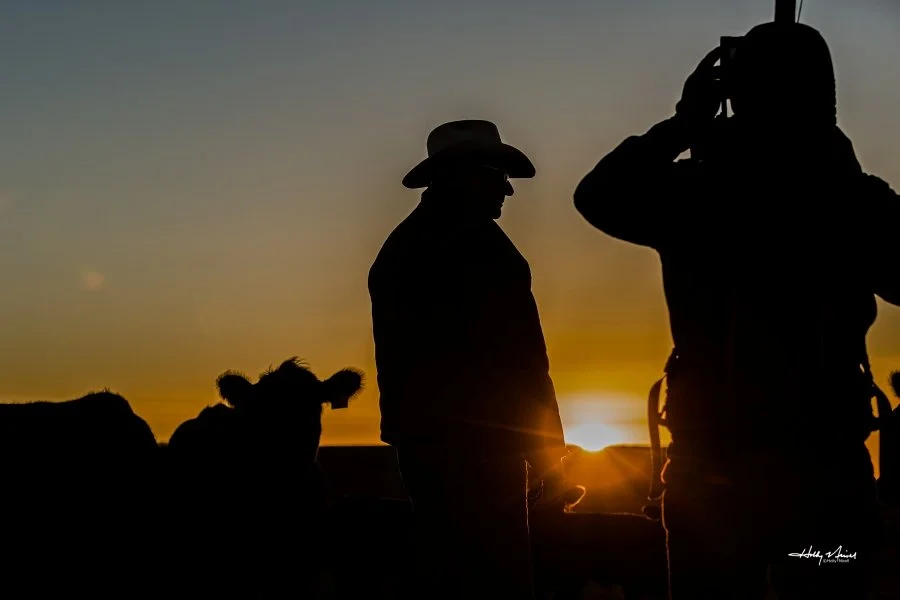 In the Age of AI, Authenticity Becomes a Competitive Advantage in Agriculture