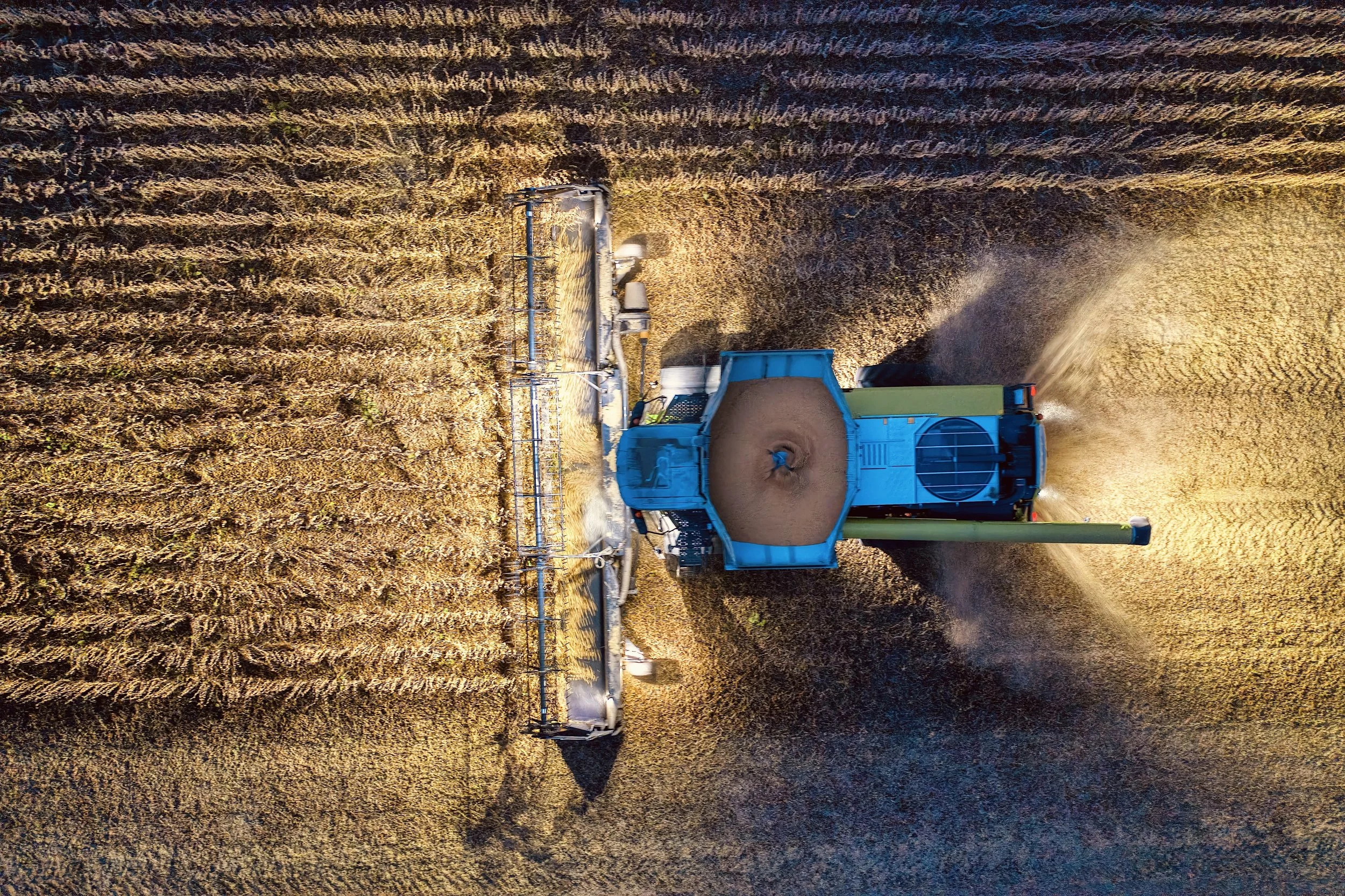 An aerial view of a large agricultural combine harvester machine operating in a wheat field, harvesting wheat plants.