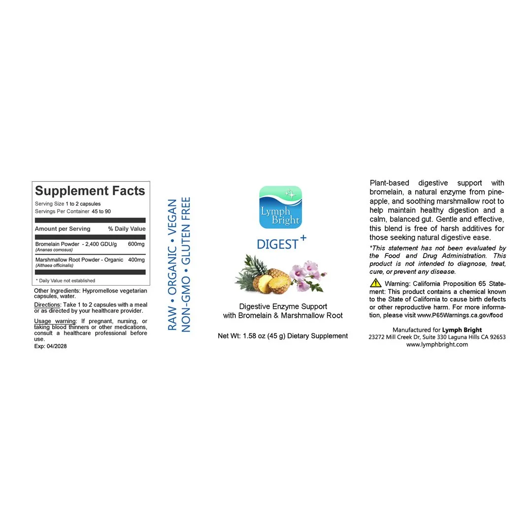 DIGEST+- square 4.jpg
