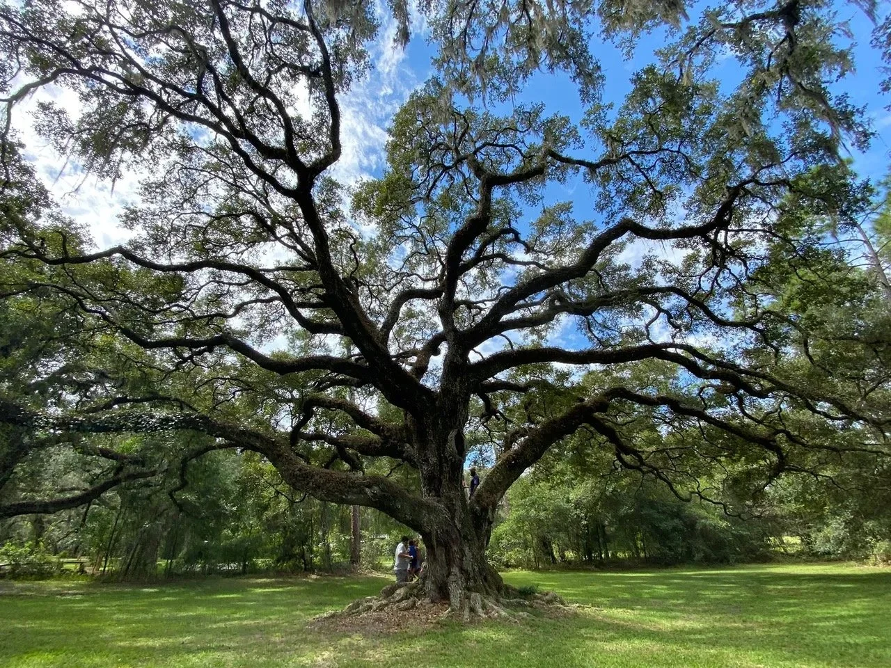 Dade Battlefield State Park