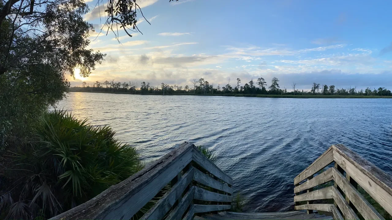 Ochlockonee River State Park 