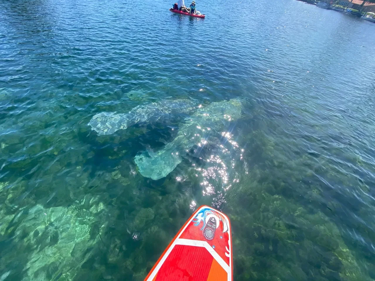 The Crystal River and Three Sisters