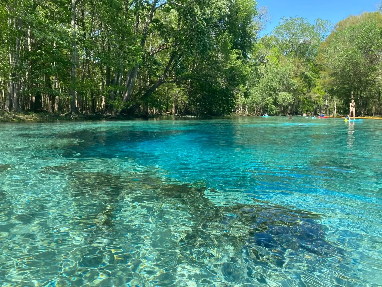 Gilchrist Blue Springs State Park