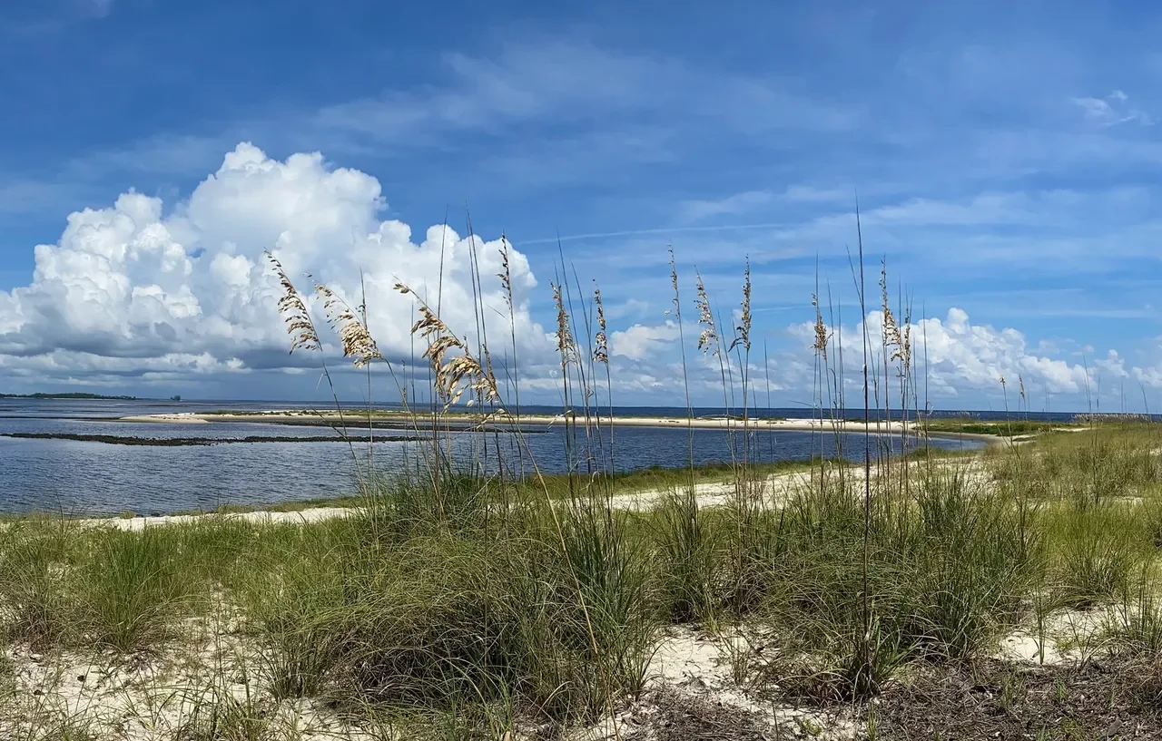 Bald Point State Park