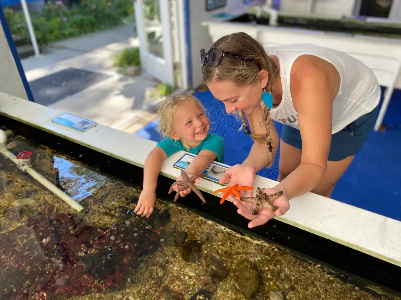A smiling woman and young girl at an aquarium, holding starfish over a water tank full of rocks and marine life.