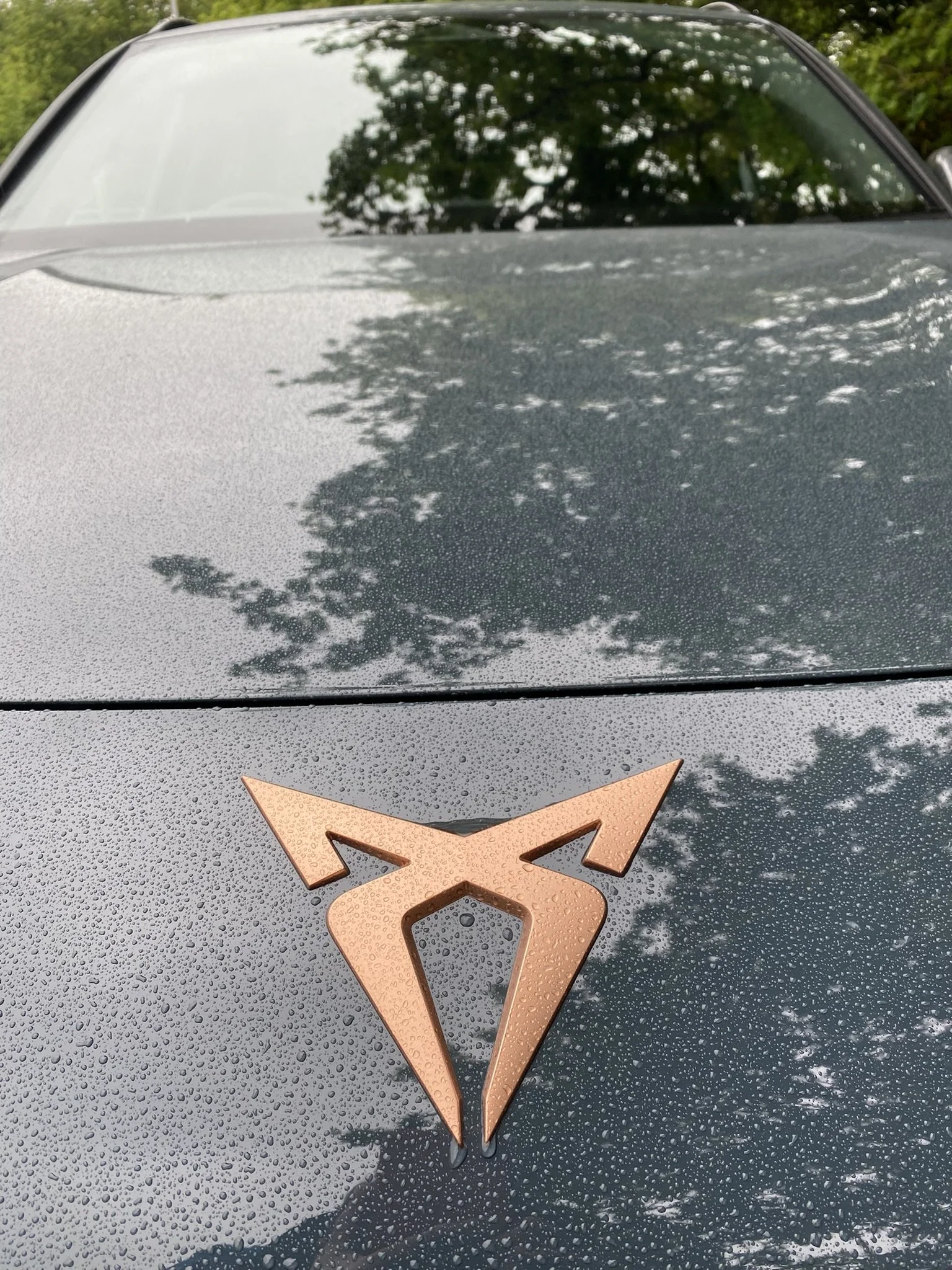 IMG_8104.JPEG