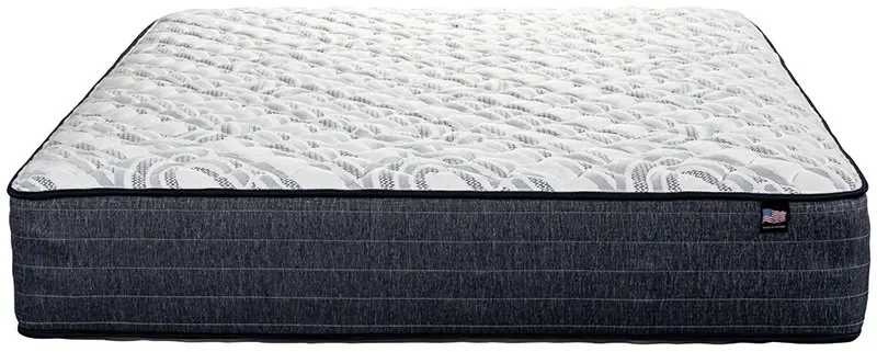 Carnation-Firm-head-on-800W.webp