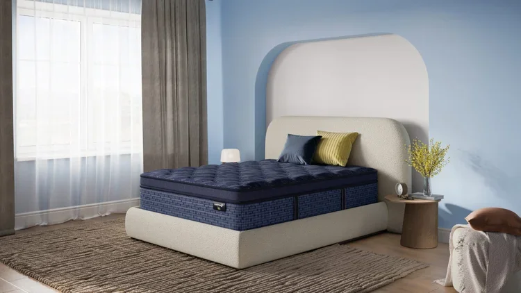 Falls Creek Firm Hybrid Euro Pillow Top