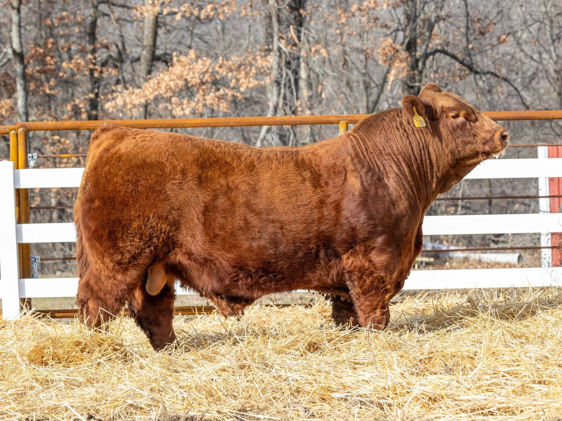 Excel Legend — US Excel Ranches