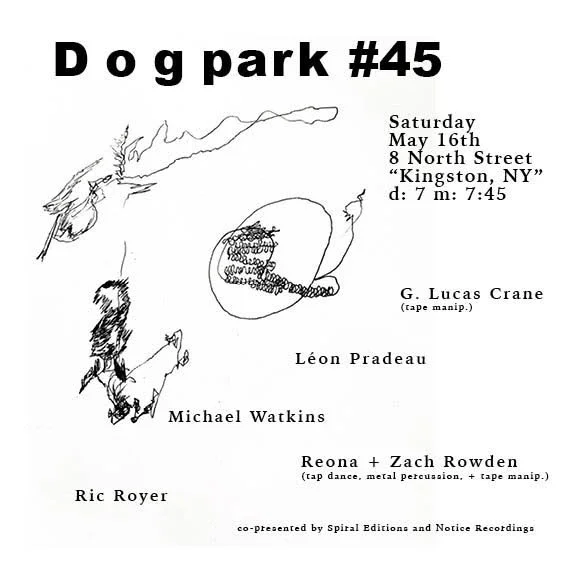 [Kingston, NY] Dogpark #45