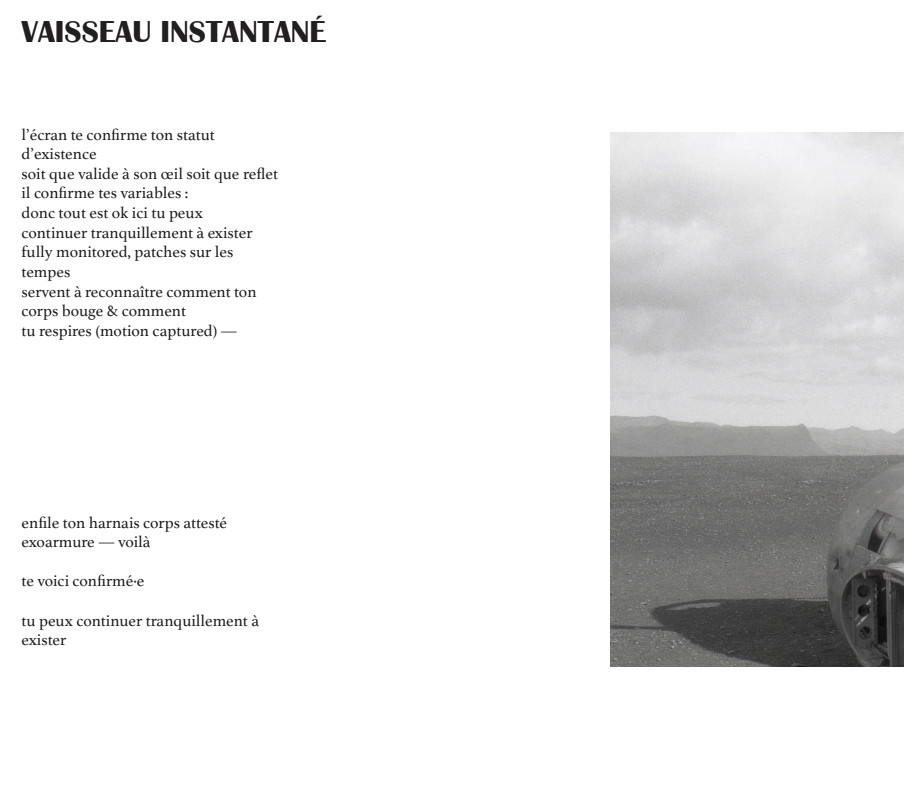 'vaisseau instantané' (Mouche, 3, Printemps 2024)