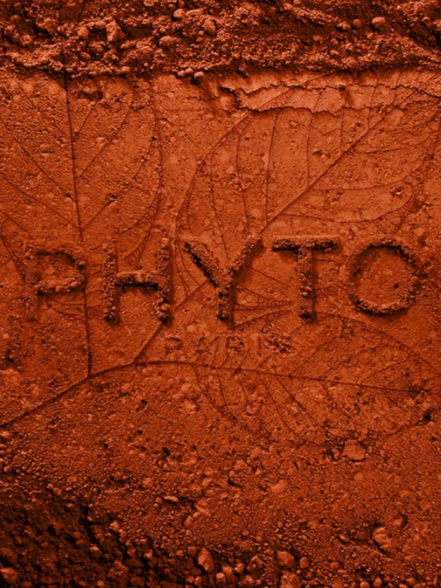 Le mot 'PHYTO' écrit dans des pigments rouges, avec des feuilles en arrière-plan. Campagne de l'agence de création L'ASSOCIÉ pour PHYTO.
