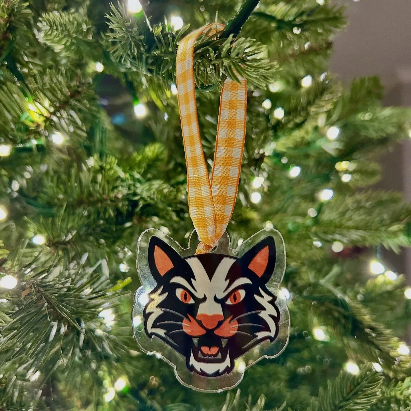 Ho Ho Hold up! Santa&rsquo;s got a brand-new ornament to hang this year &mdash; and it&rsquo;s full of Aledo holiday spirit! 🎄

You better be on the nice list, because these custom 2x2in Bearcat baubles are limited edition! 

👉Gift them to your fav