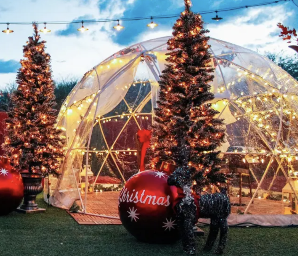 Decorated Christmas trees inside a lit transparent geodesic dome with string lights, large red Christmas ornament with "Christmas" written on it, and a dog in a sweater outside at dusk.