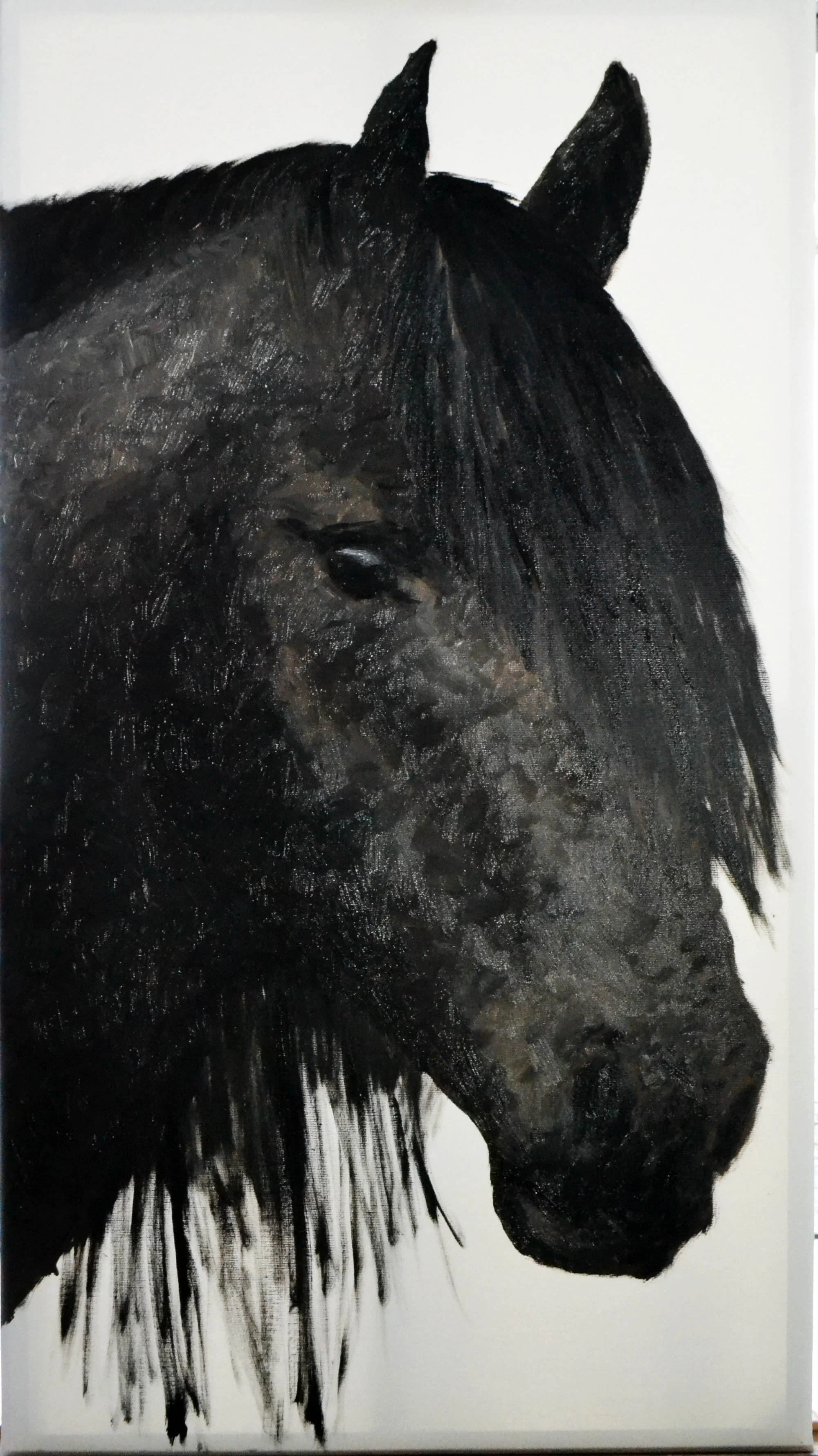 Retrato de um cavalo preto, pintado a óleo com pinceladas detalhadas e textura em fundo branco. Autor LU.S