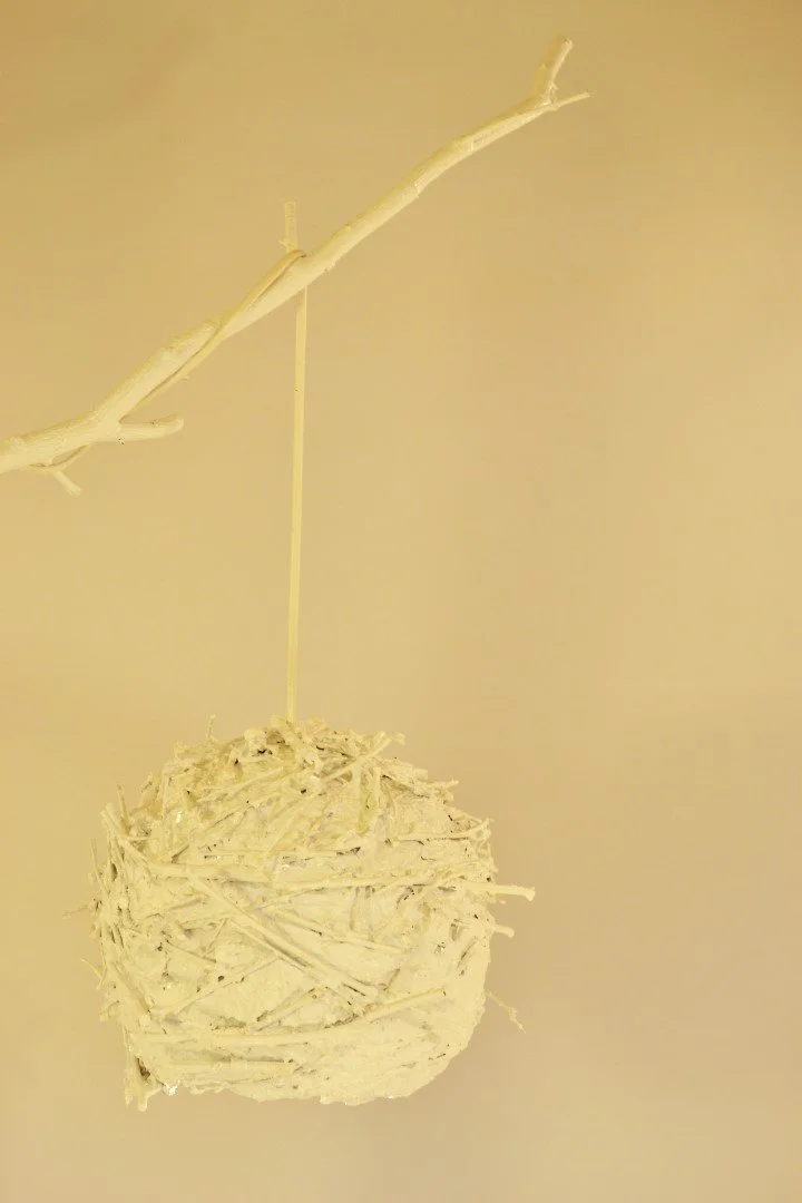 nest 3.jpg