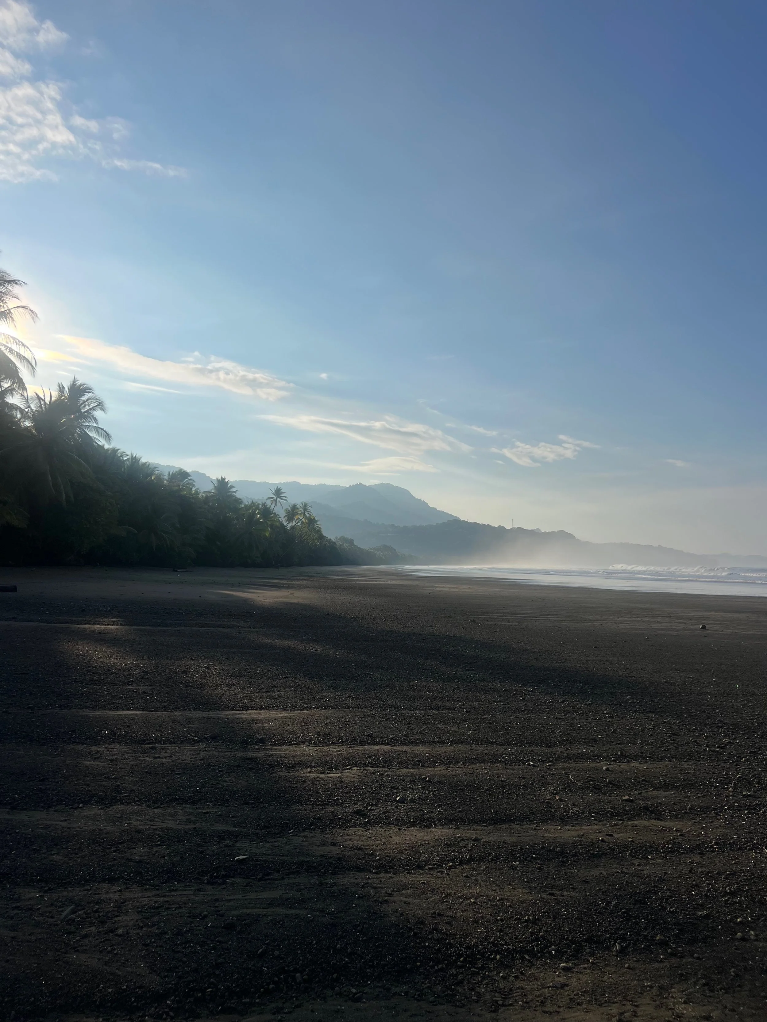 whale’s tail, uvita, costa rica, dark sand beach with jungle palm trees along the coast and mountains in the background supporting a hazy mist from the dawn horizon.
