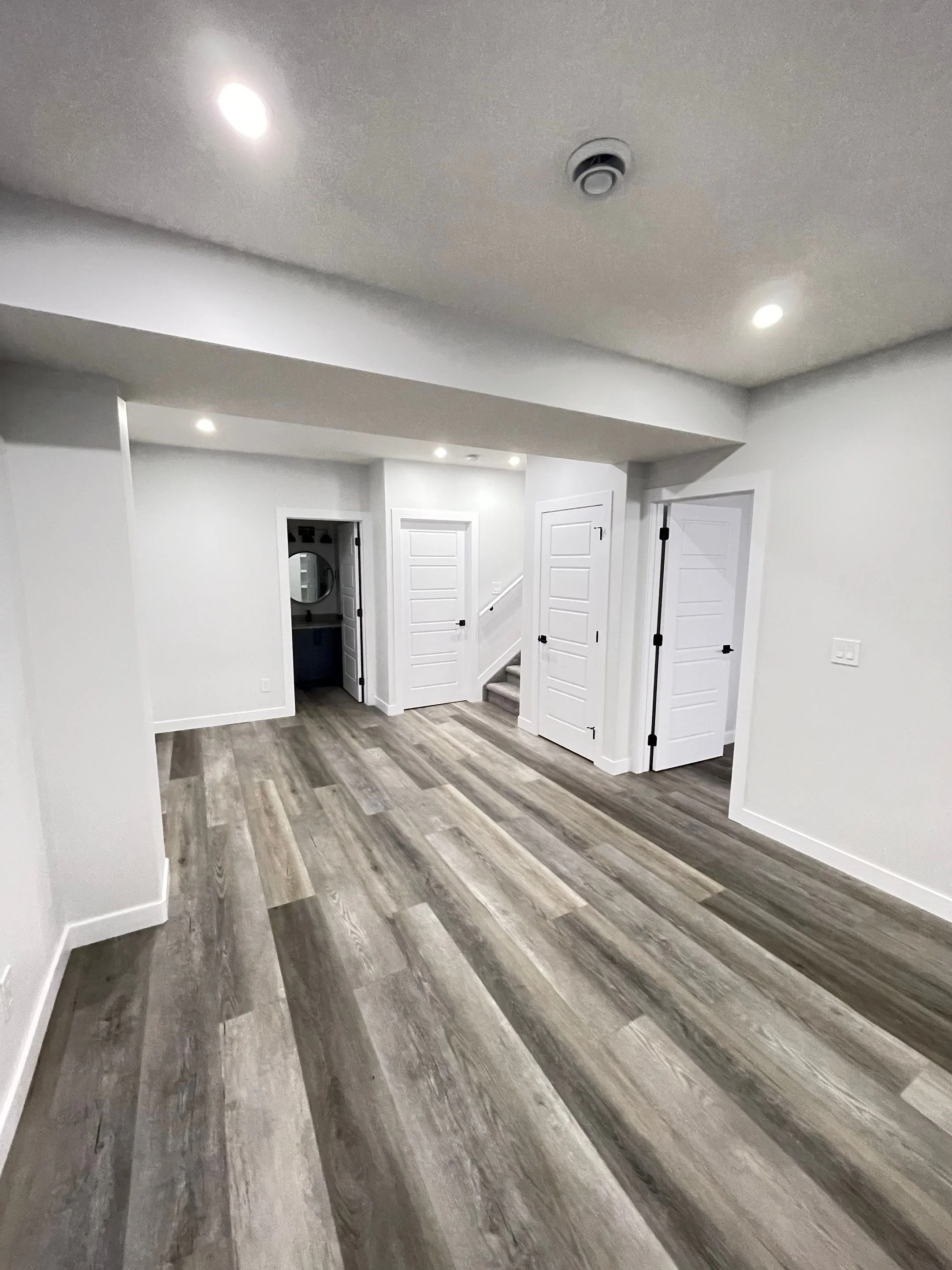Basement Development: Leduc