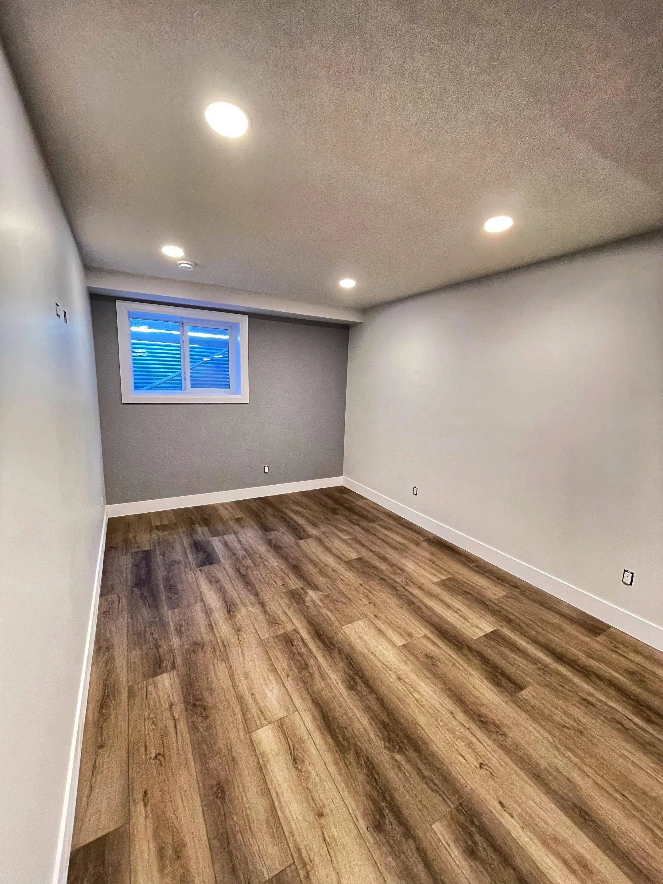 Basement Development: Chappelle, Edmonton