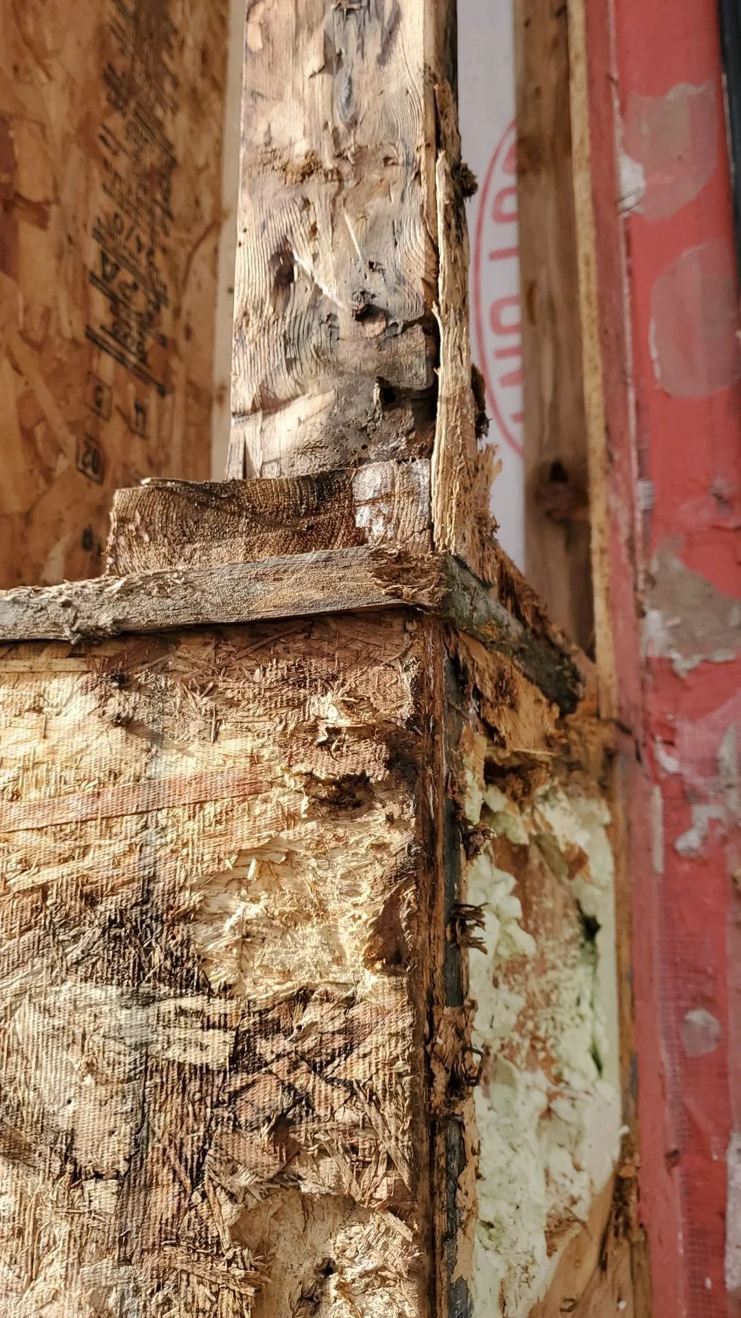 Archive Contracting-moisture-repairs-edmonton-alberta.webp