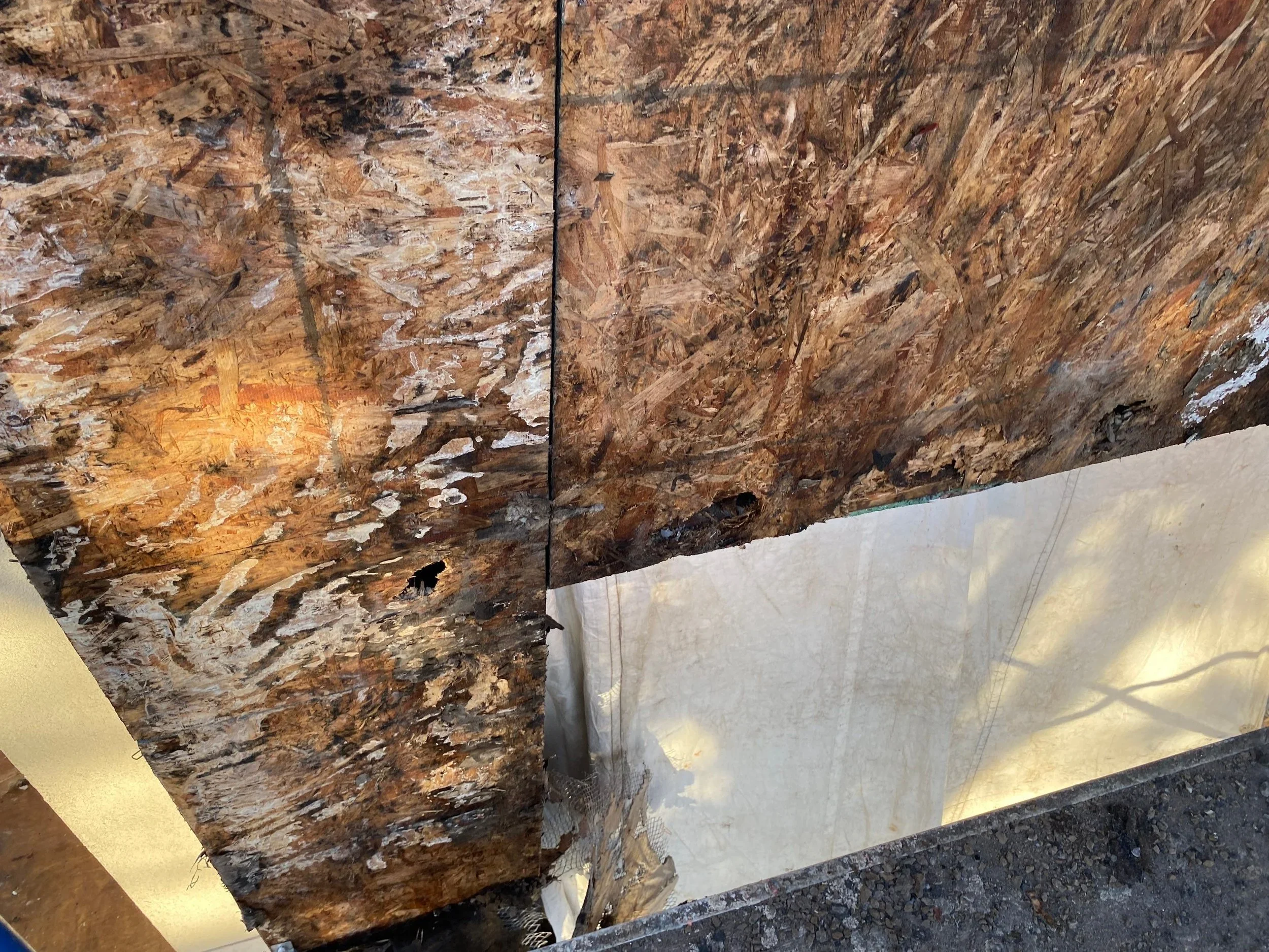 Archive Contracting-building-envelope-repair-edmonton-alberta.webp