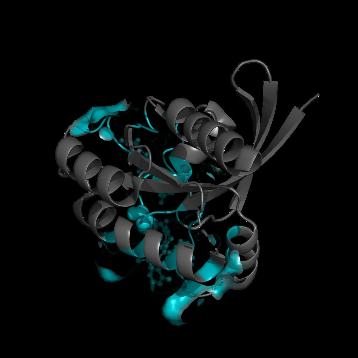 Scientific Advisory Retainer