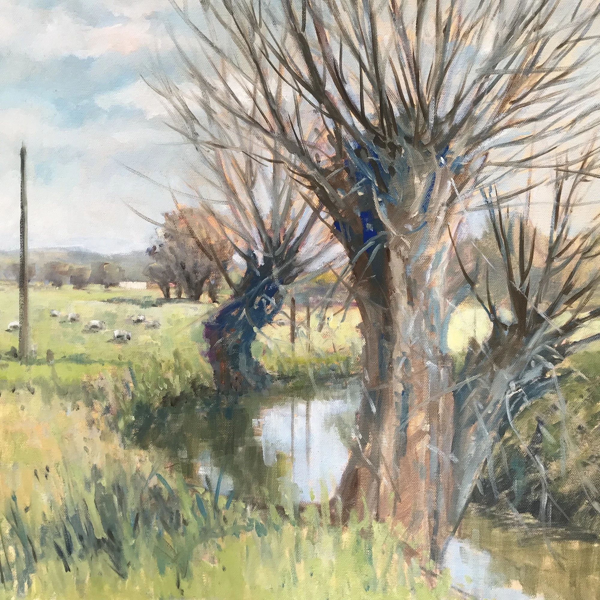 Willow on the levels - Oil on Canvas - 60 x 50cm (Framed) - £400