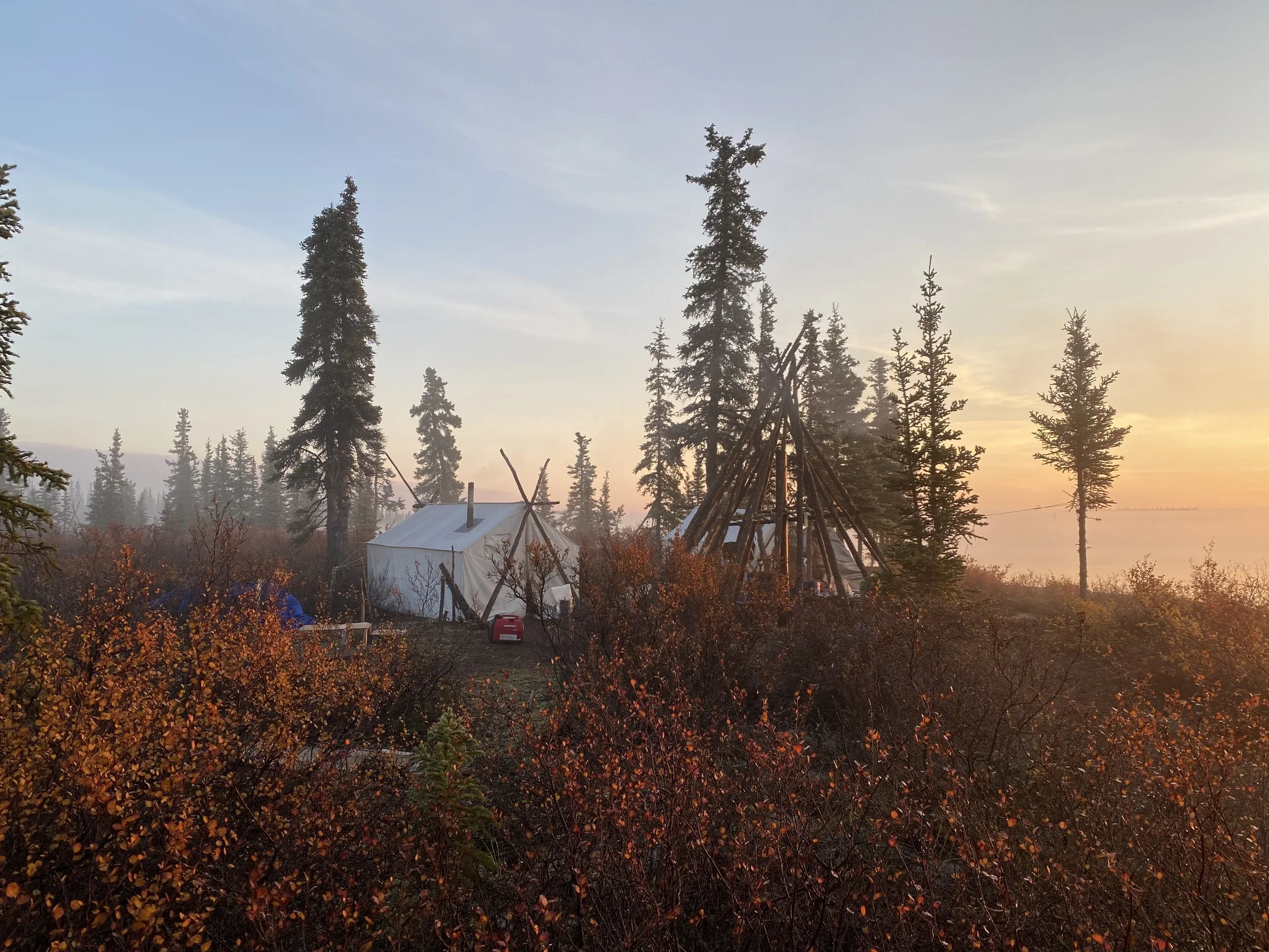 7AF5D227-D073-40A6-B8E6-BC276D49BCC0 (1).JPG