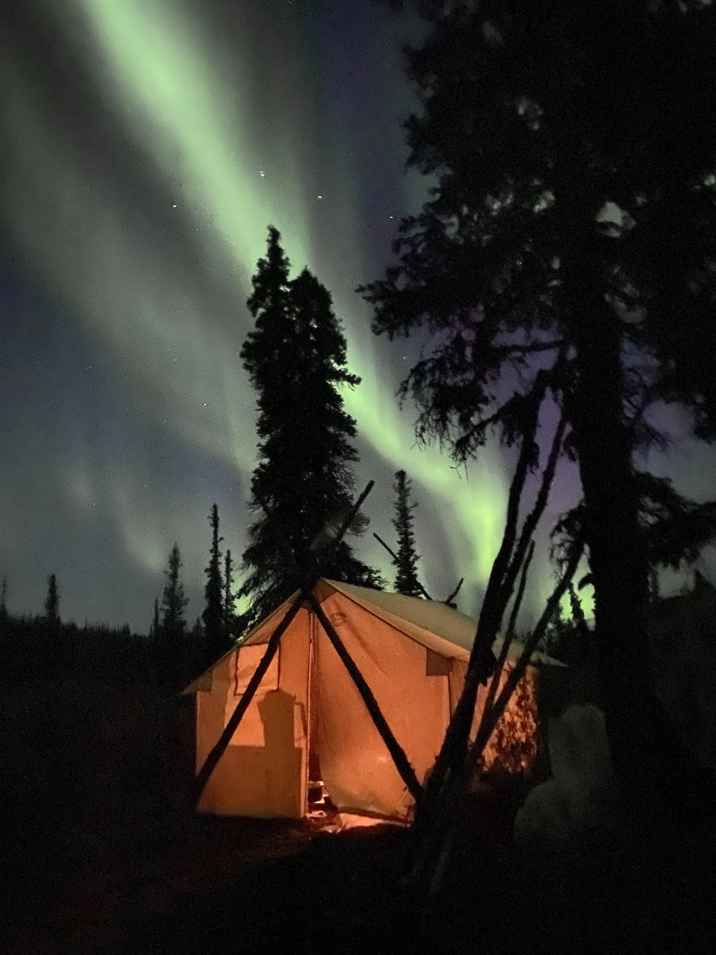 E127869D-EB7D-4692-85FD-E54141B36946 (1).JPG