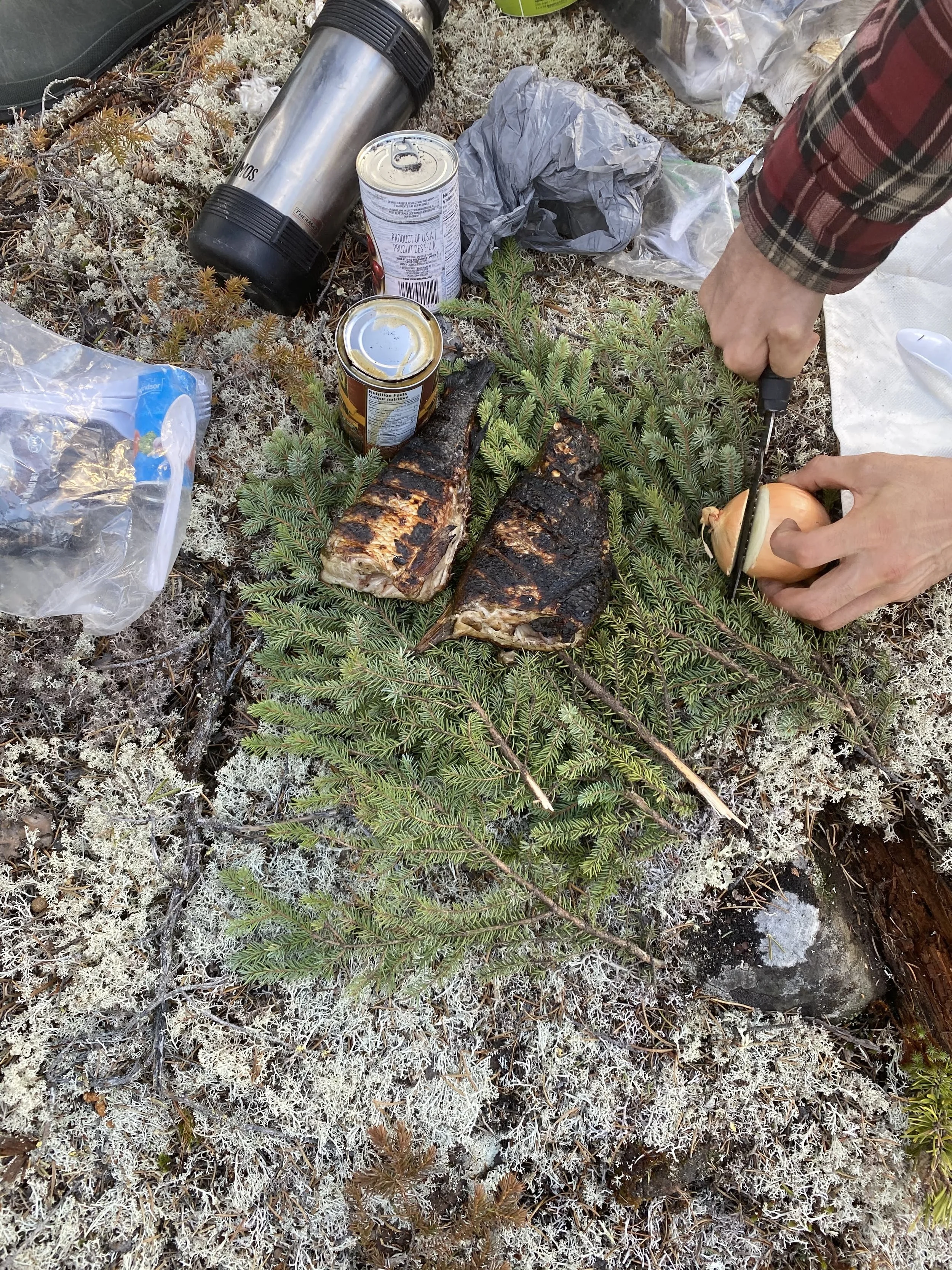 CF1EE9C2-FD2D-4502-854F-29CE3EE52482 (1).JPG